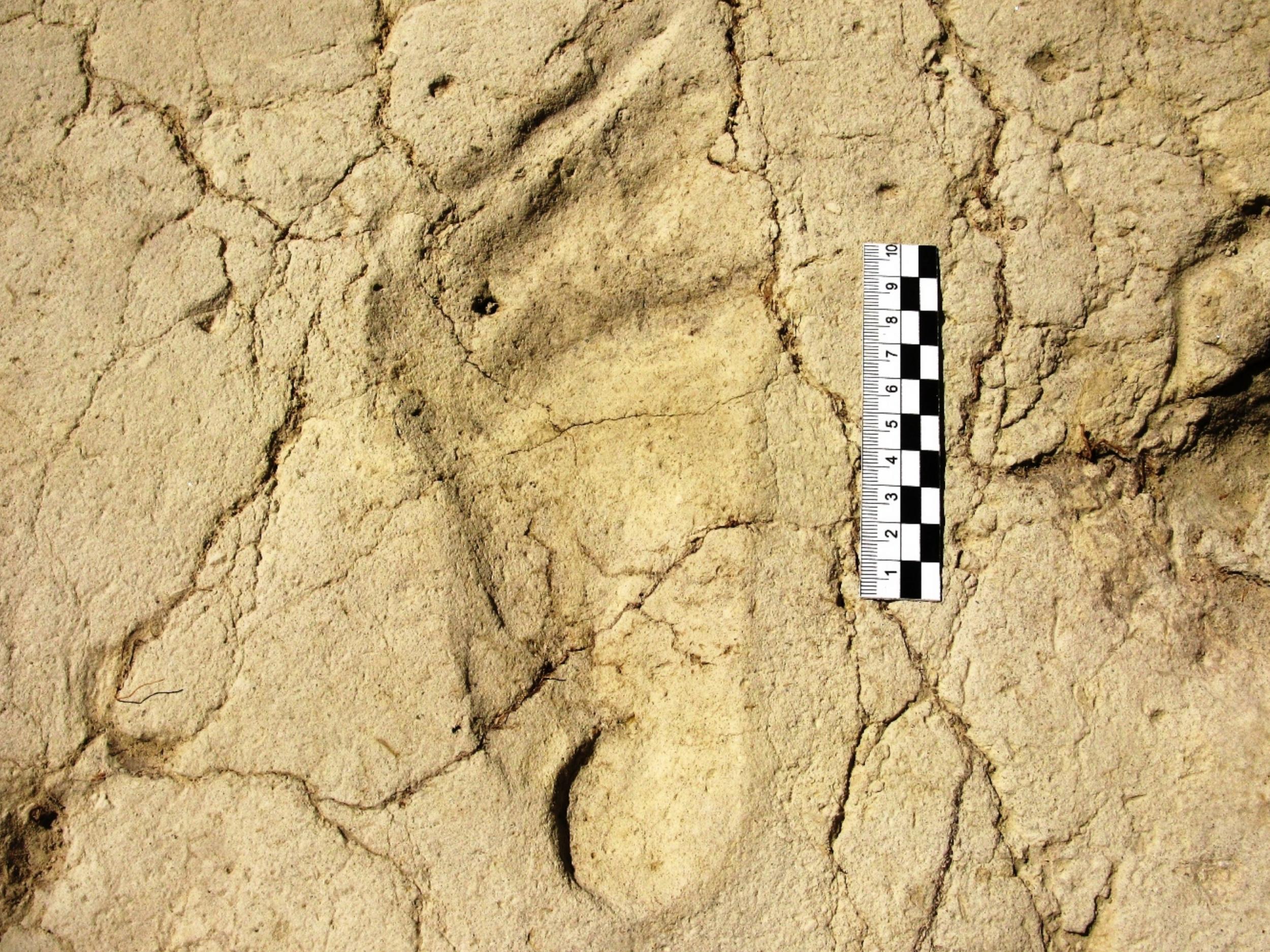 One of the human footprints found at the Melka Kunture site in Ethiopia