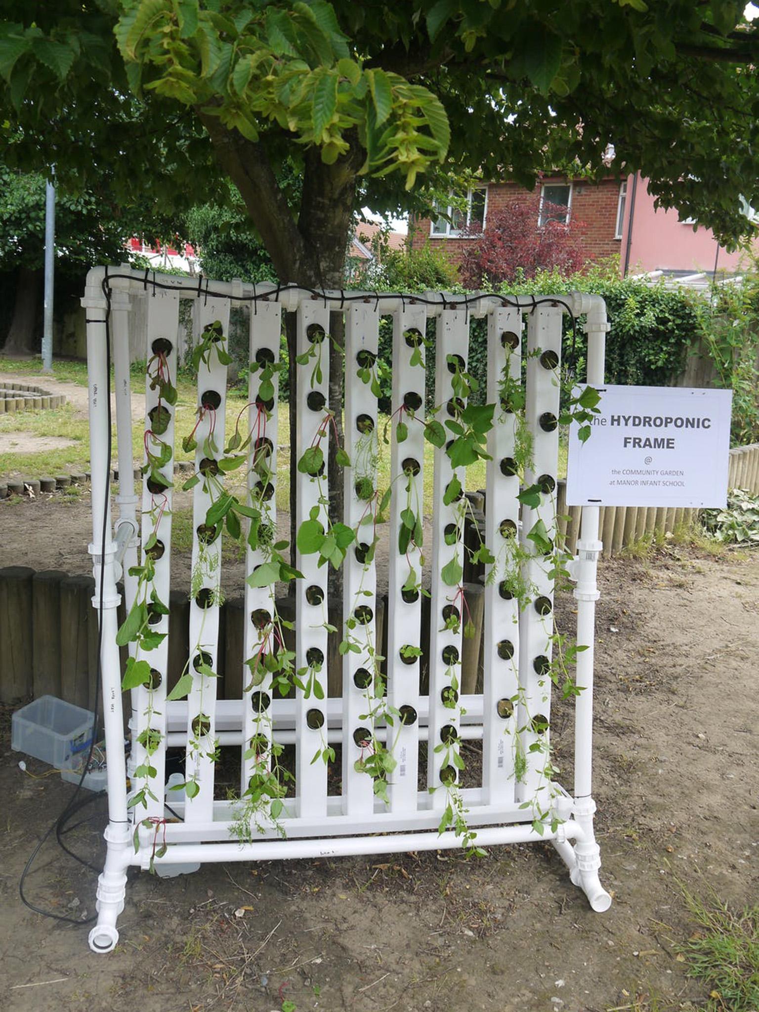 A simplified hydroponic frame (Silvio Caputo)