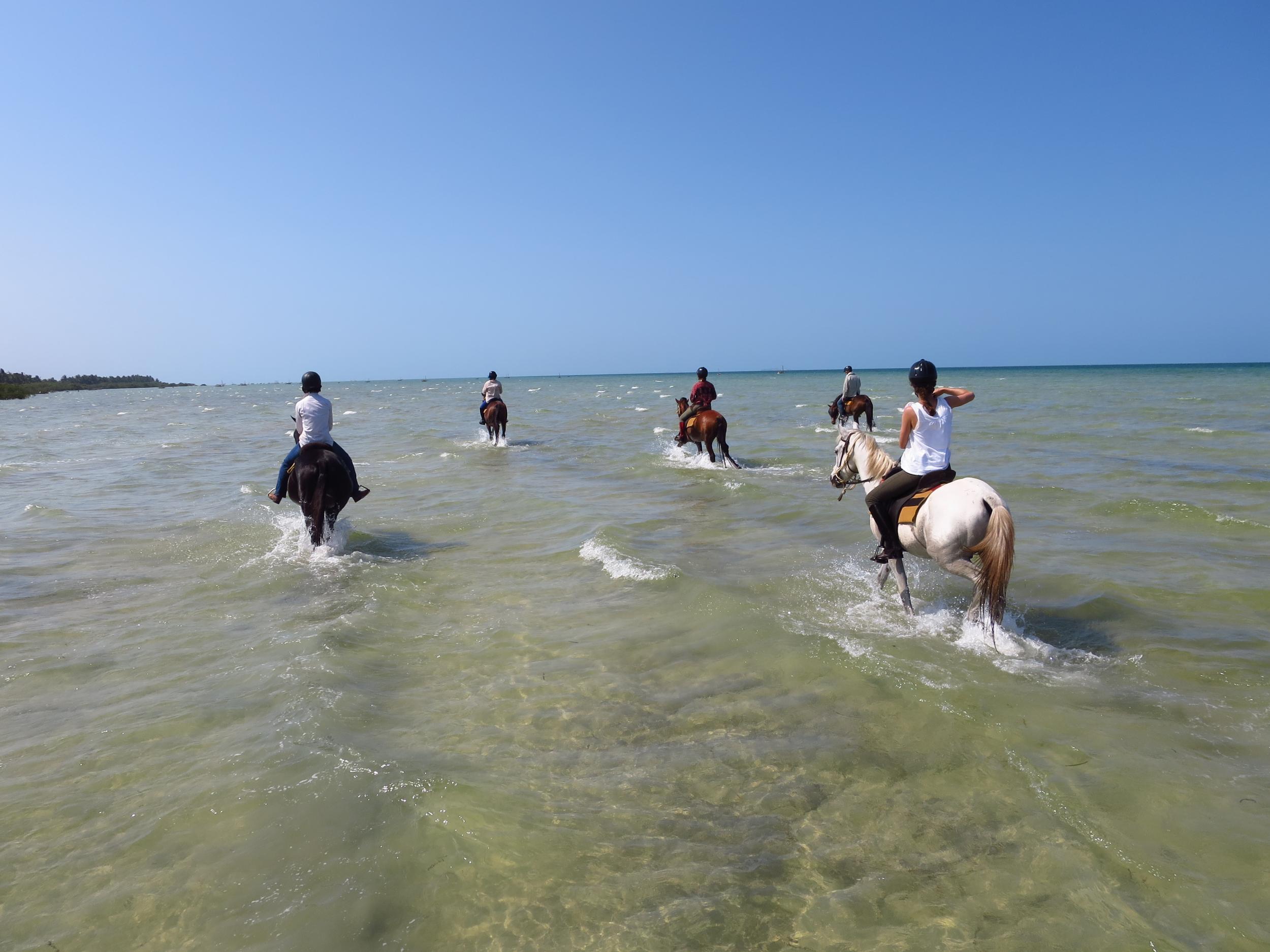 A horse safari holiday in Mozambique