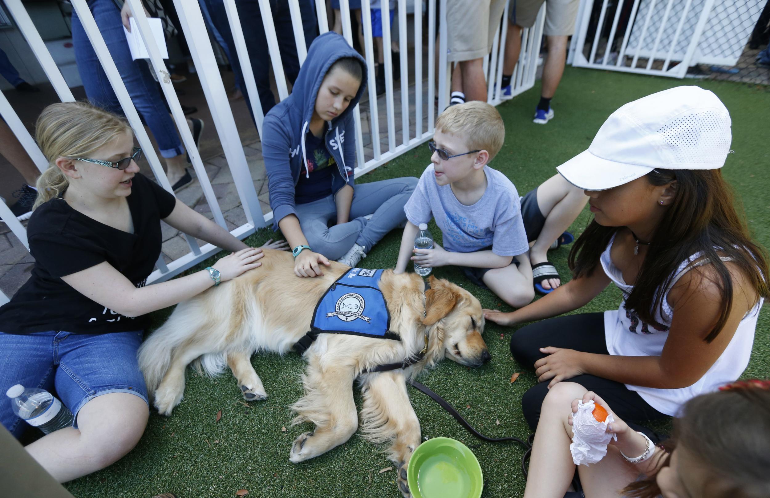 Children pet Jacob the comfort dog