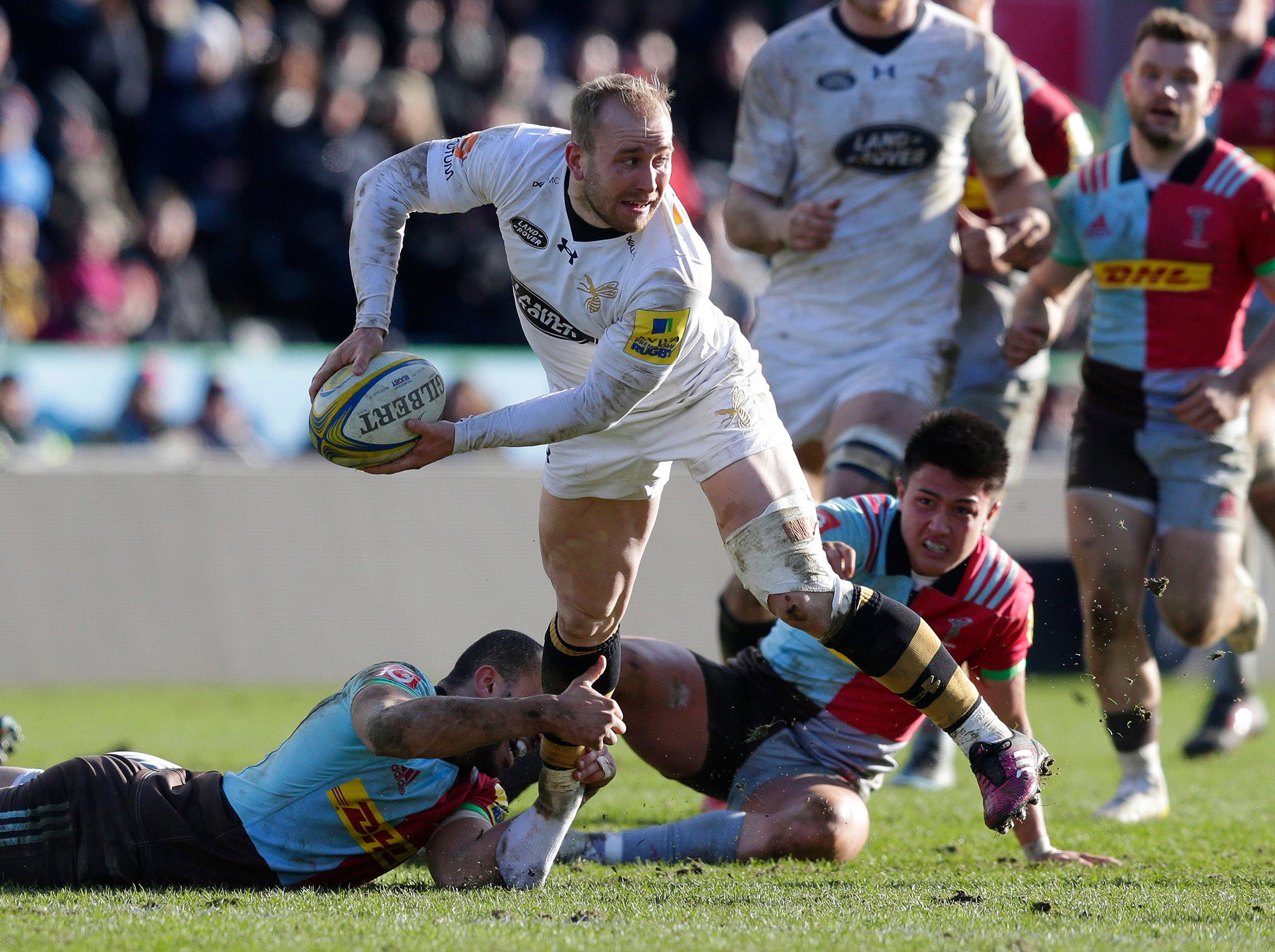 Dan Robson has played a key role in Wasps' season