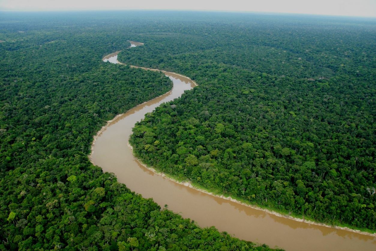 Yaguas National Park is home to more than 3,000 species of plants, 500 species of birds and 160 species of mammals