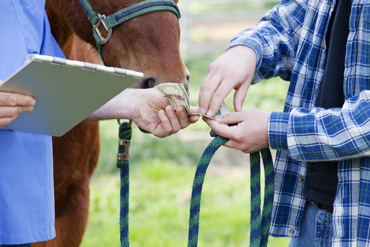 The riddle begins: 'A man buys a horse...'