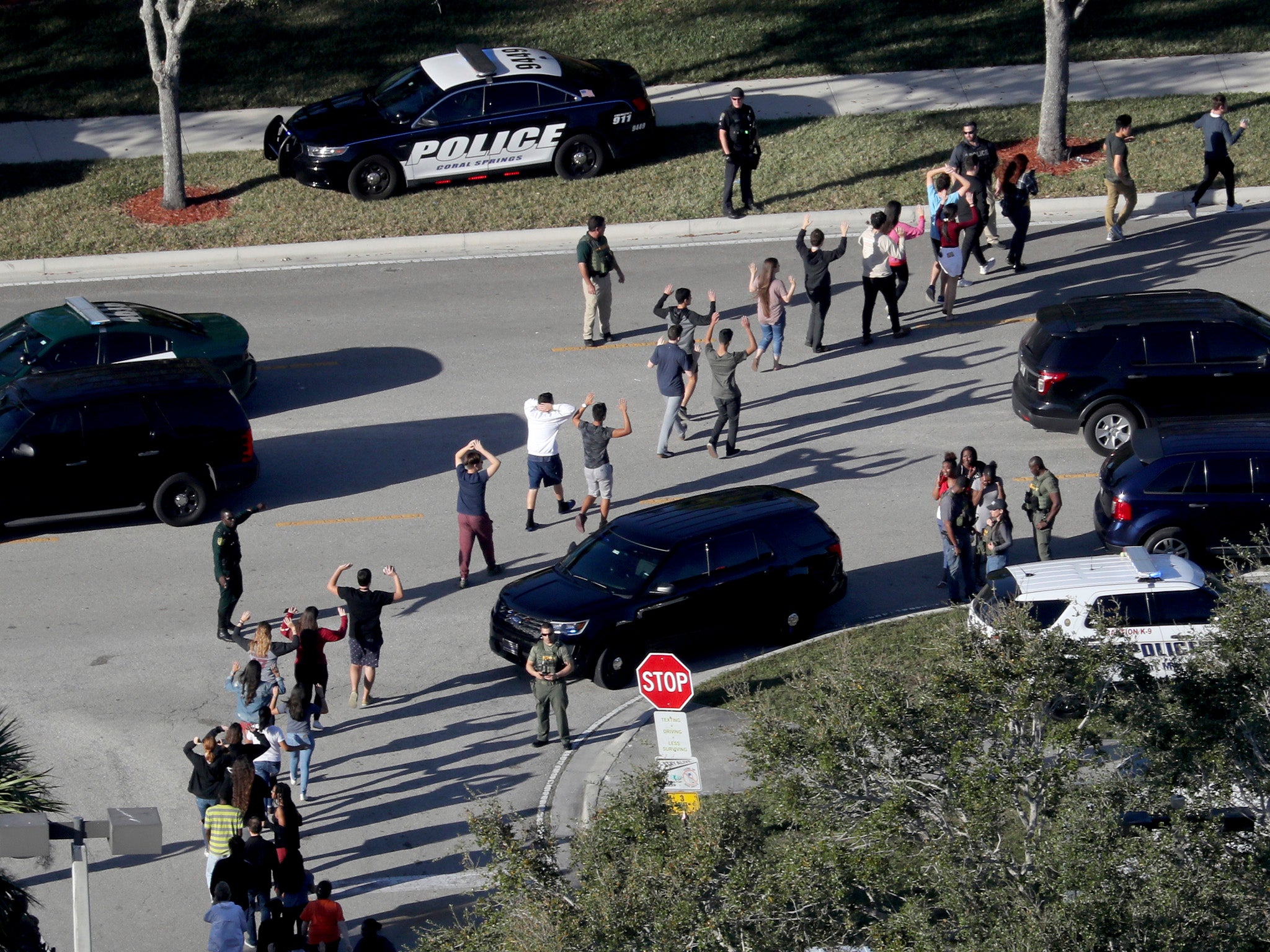 The devastating Parkland shooting in February prompted renewed calls for better gun control laws