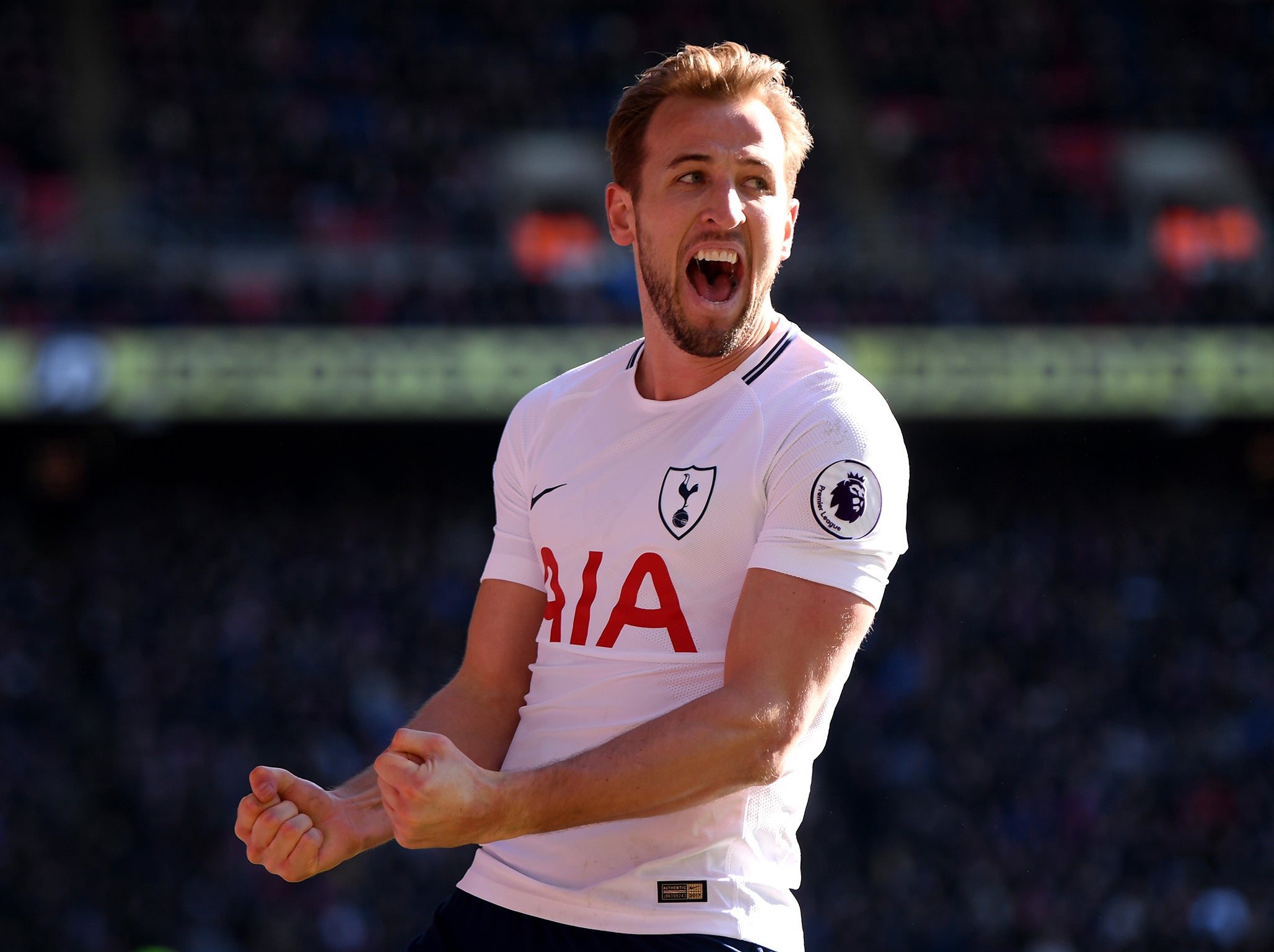 Kane celebrates his last-gasp goal