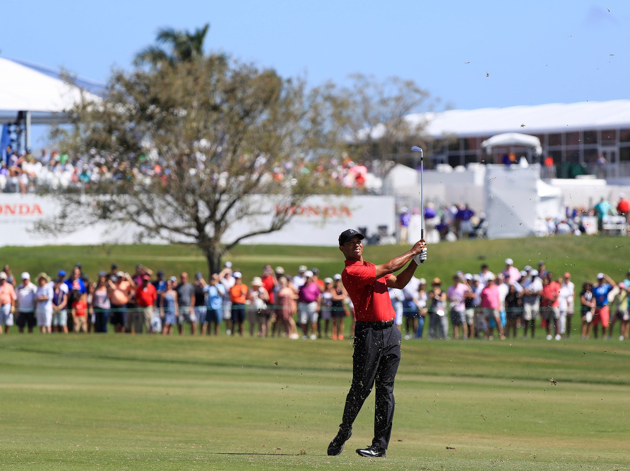 Four weeks ago, Woods was equal 23rd in his official comeback at Torrey Pines