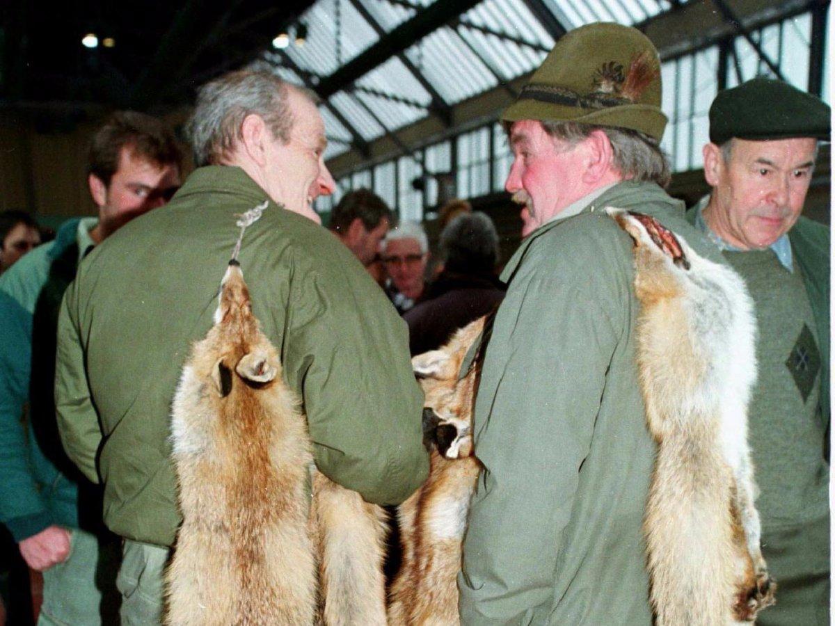 Hunters at a market in central Switzerland offer their fox furs.REUTERS