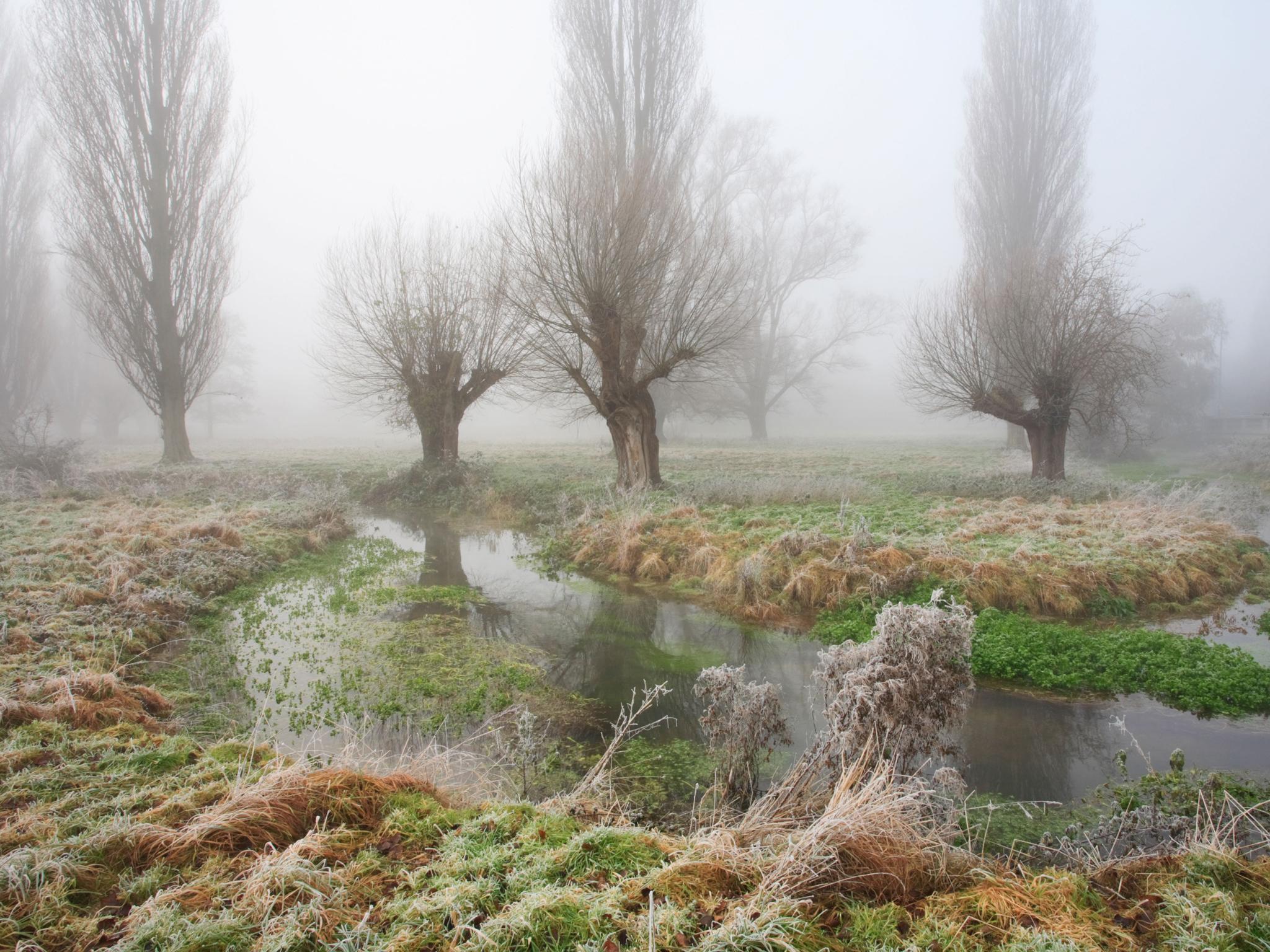 East Anglia’s sluggish fenland proves fertile ground for Daisy Johnson’s short story collection, ‘Fen’ (Alamy)