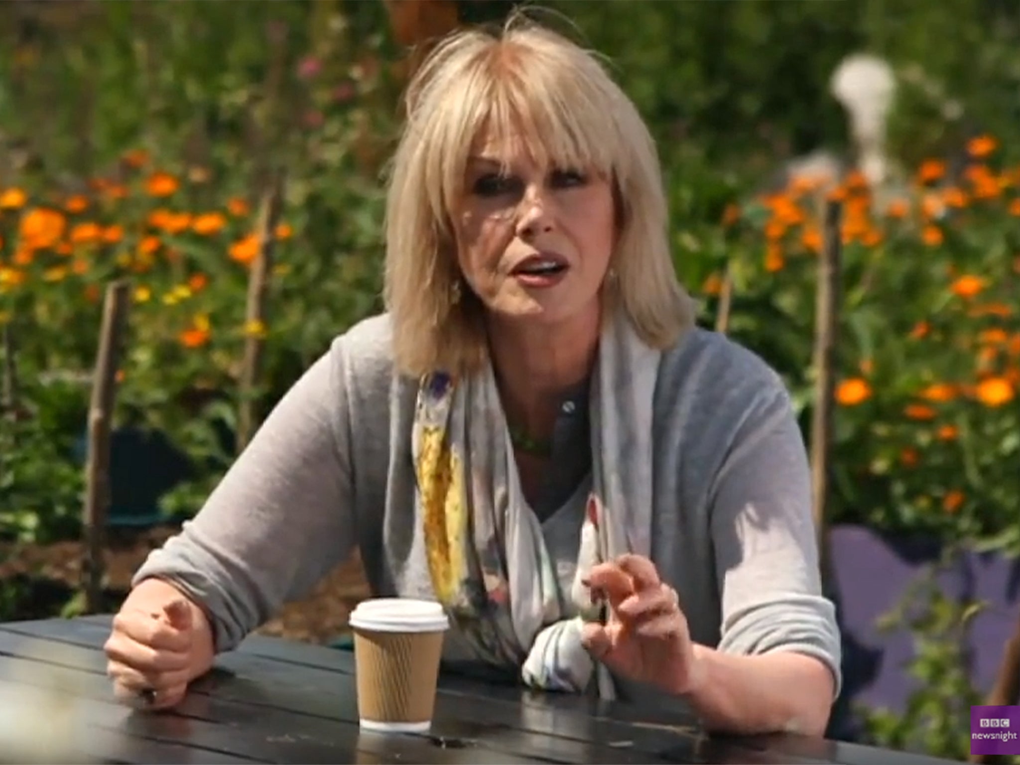 Joanna Lumley speaking on BBC Newsnight about her vision for a garden bridge over the Thames