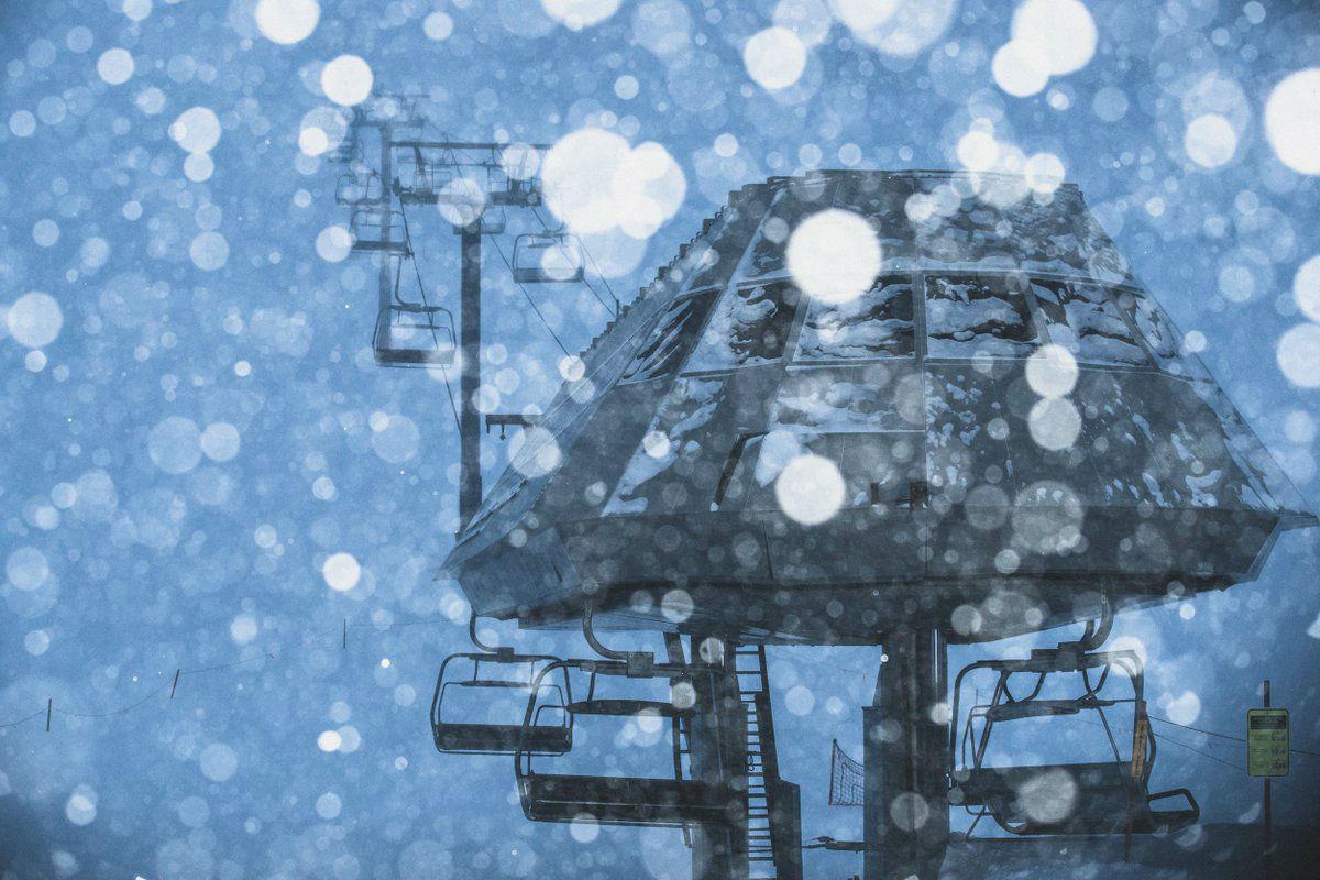 Avalanche dogs were brought in as part of the search operation