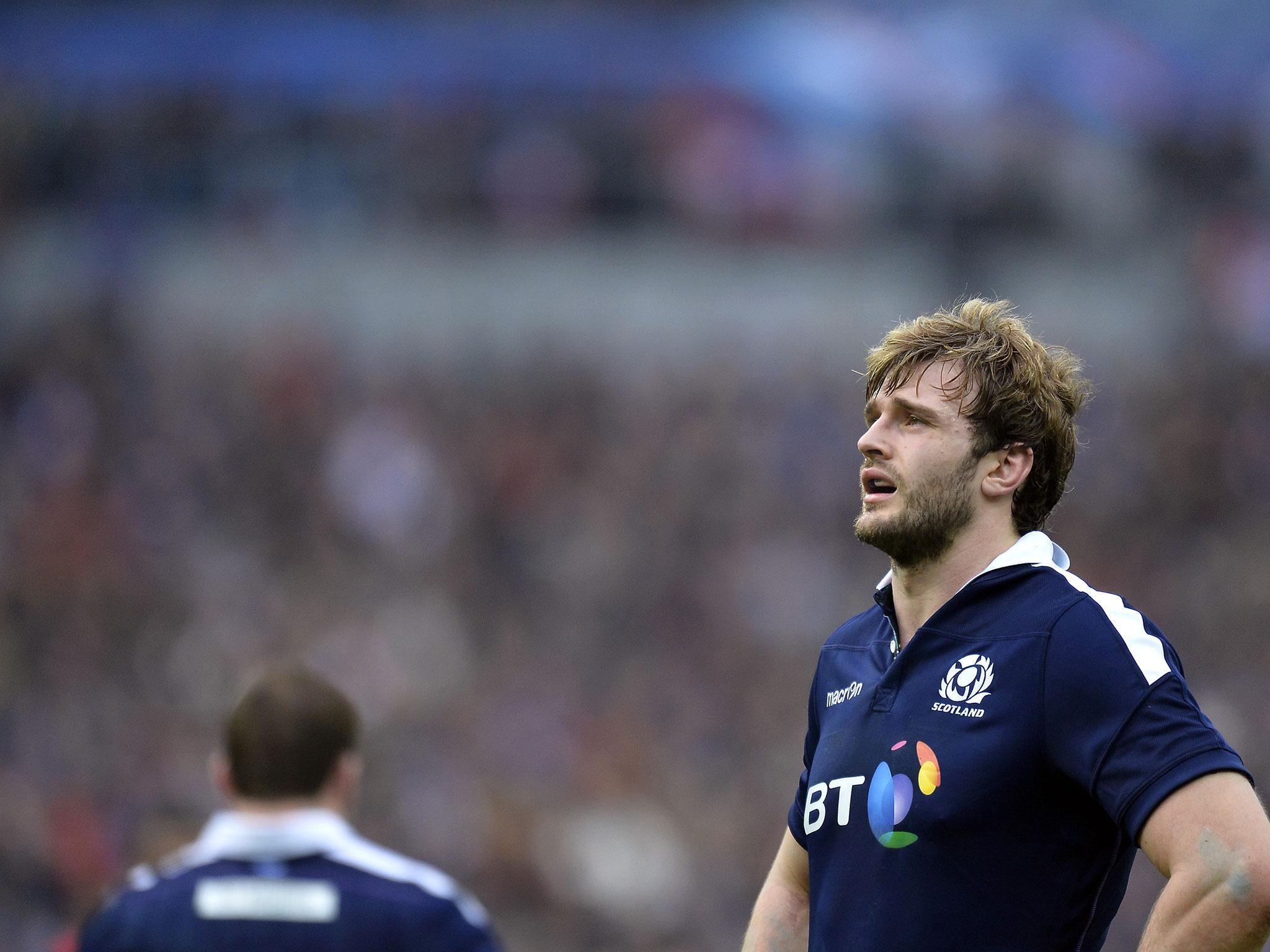 Richie Gray is back in contention for Scotland