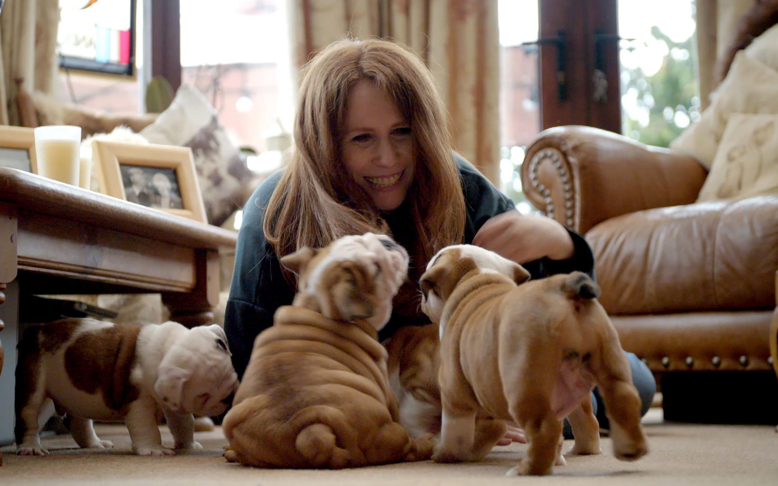 Catherine Tate gets pupdates in ‘Saving the British Bulldog’