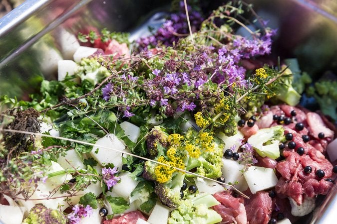 The brined lamb, adorned with vegetables and freshly foraged herbs, before going into the oven