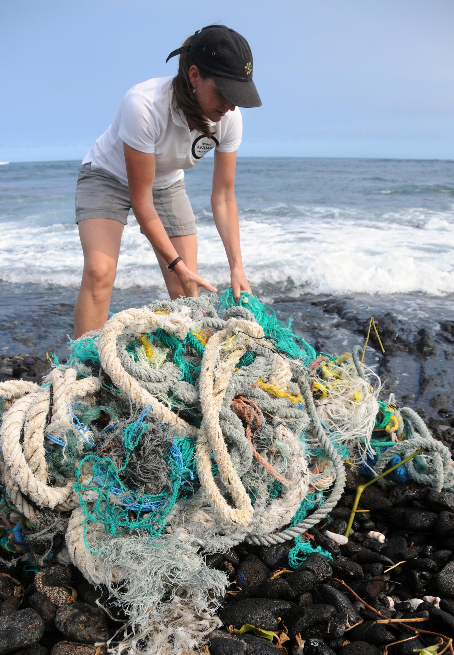 Rope washed up in a hurricane in Hawaii