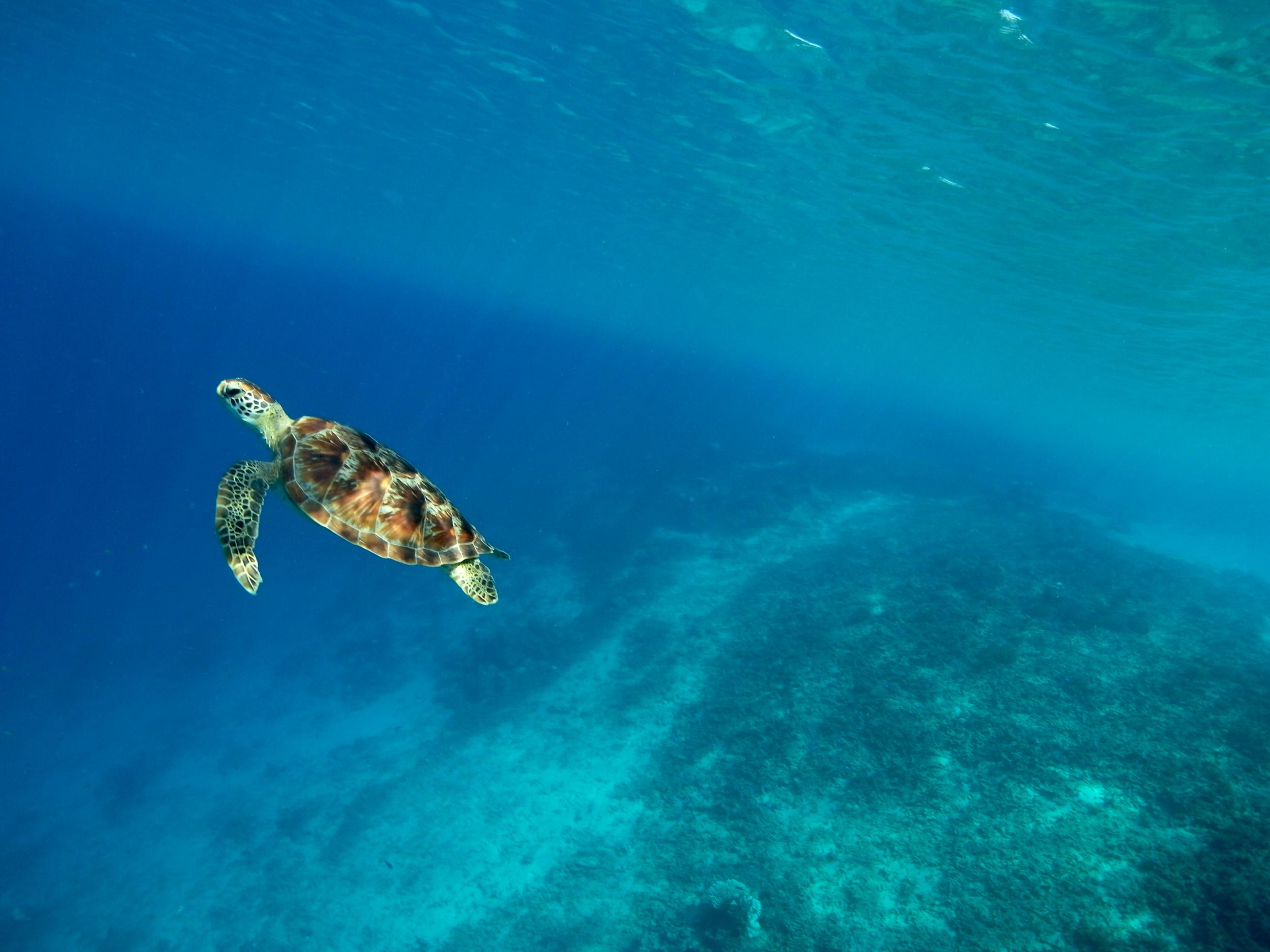 Gili Air is a two-hour boat trip from Bali