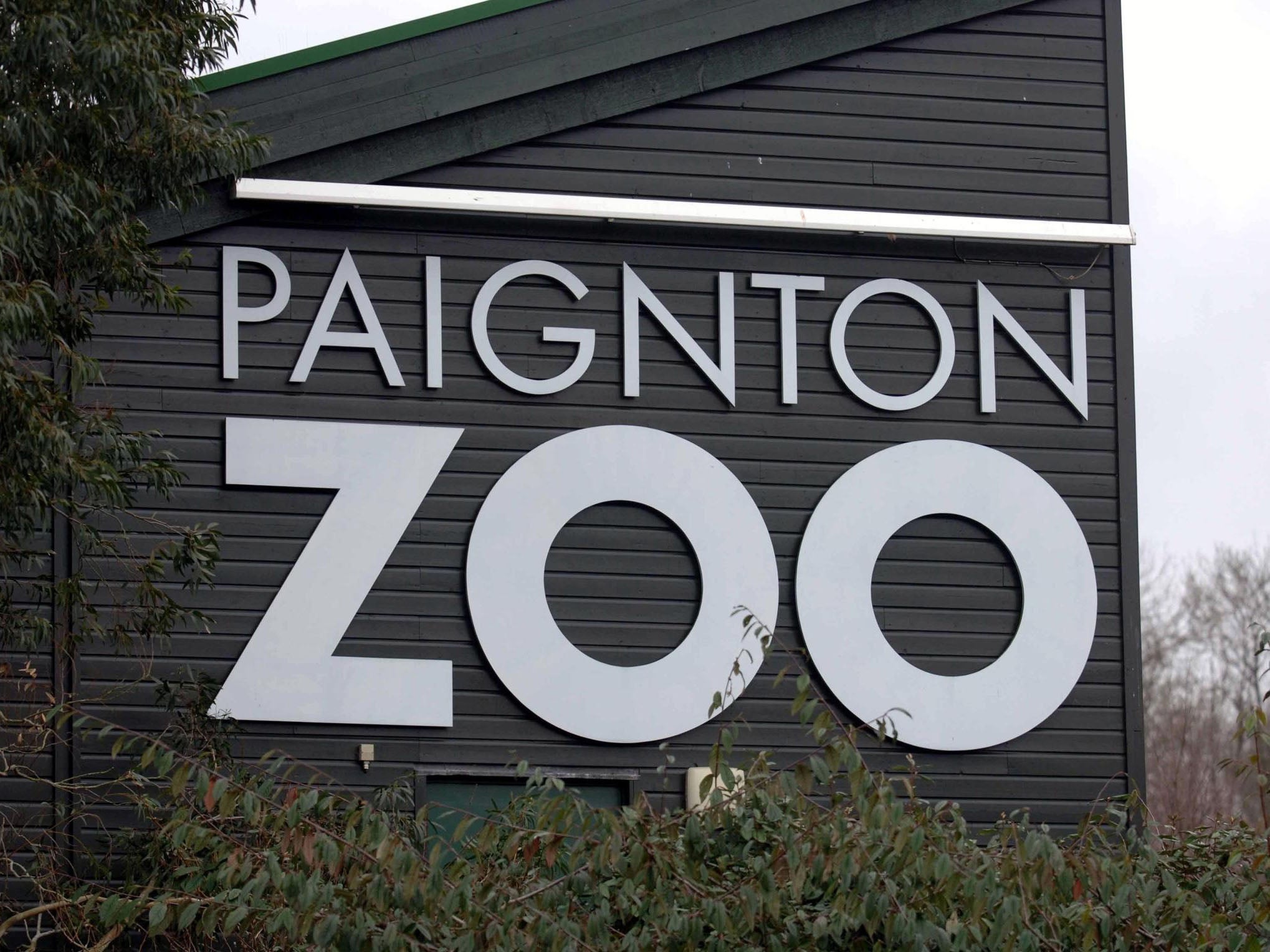 Paignton Zoo in Devon had reopened Wednesday morning due to a bird flu outbreak