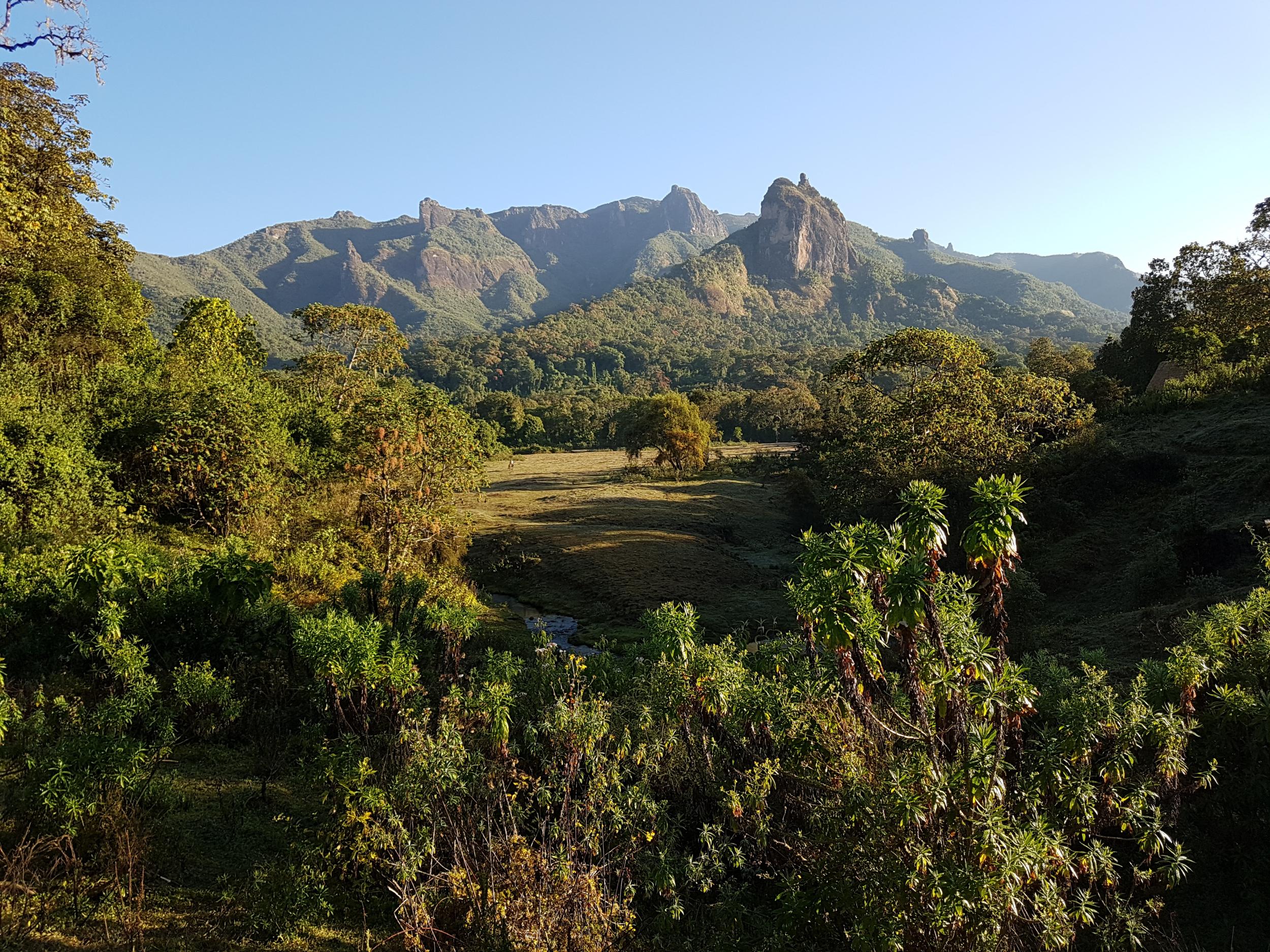 The park is home to some of Ethiopia’s rarest wildlife