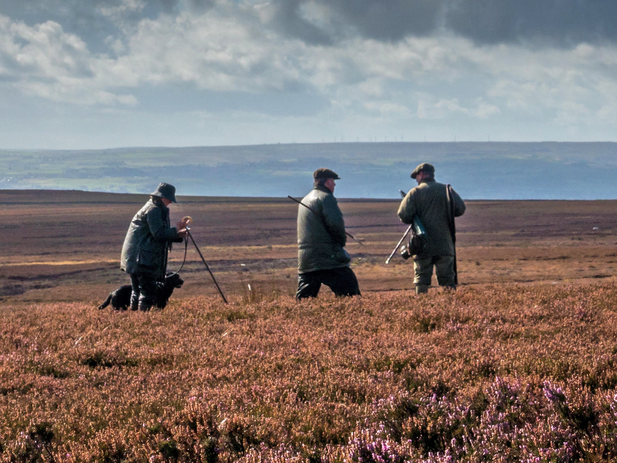 Grouse shooters say their activities benefit the economy and environment of remote rural communities