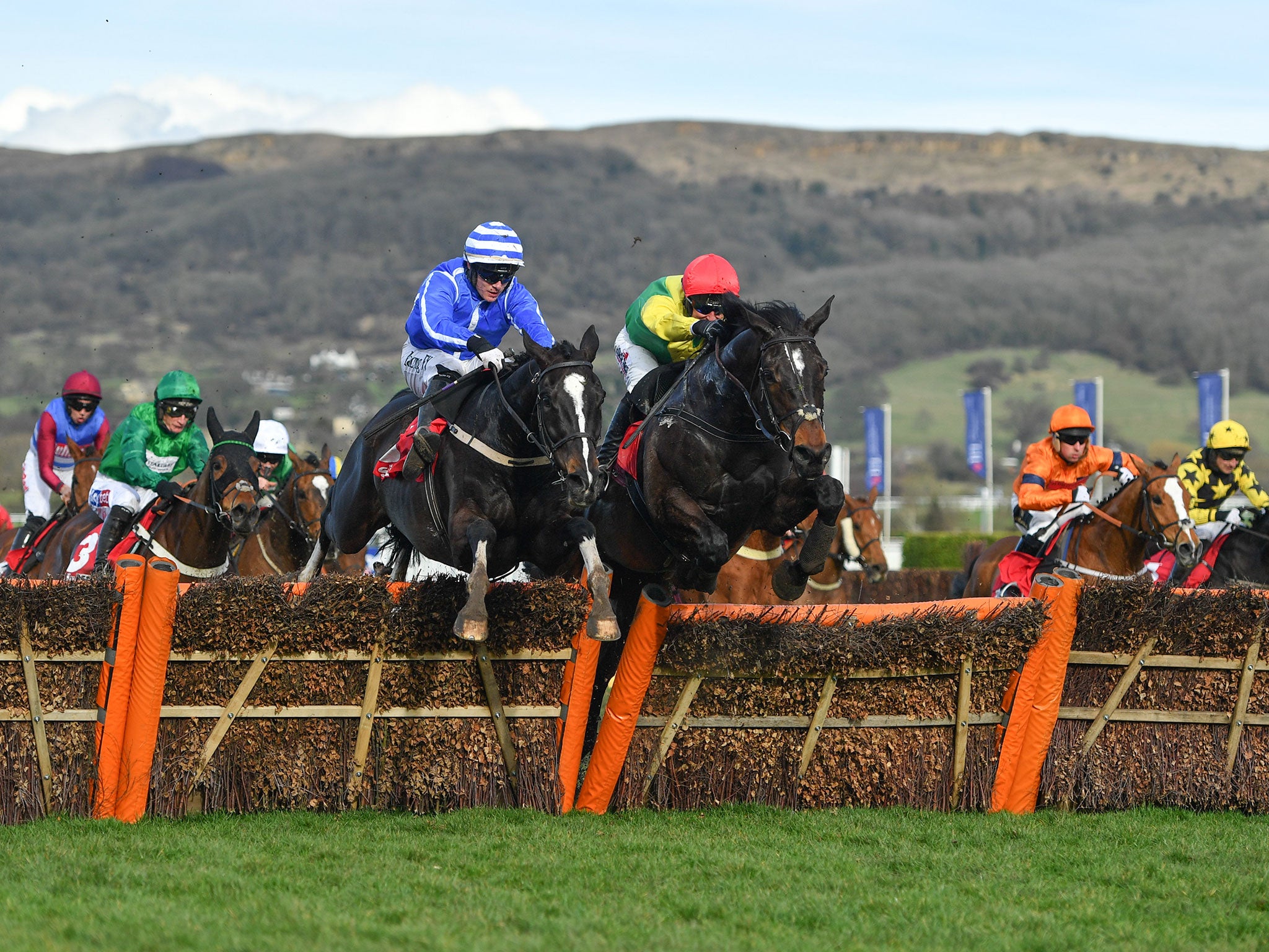 It was another day of high drama at Cheltenham