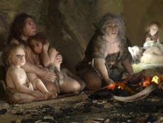 Humans bred with mysterious Denisovan species more than once, study reveals