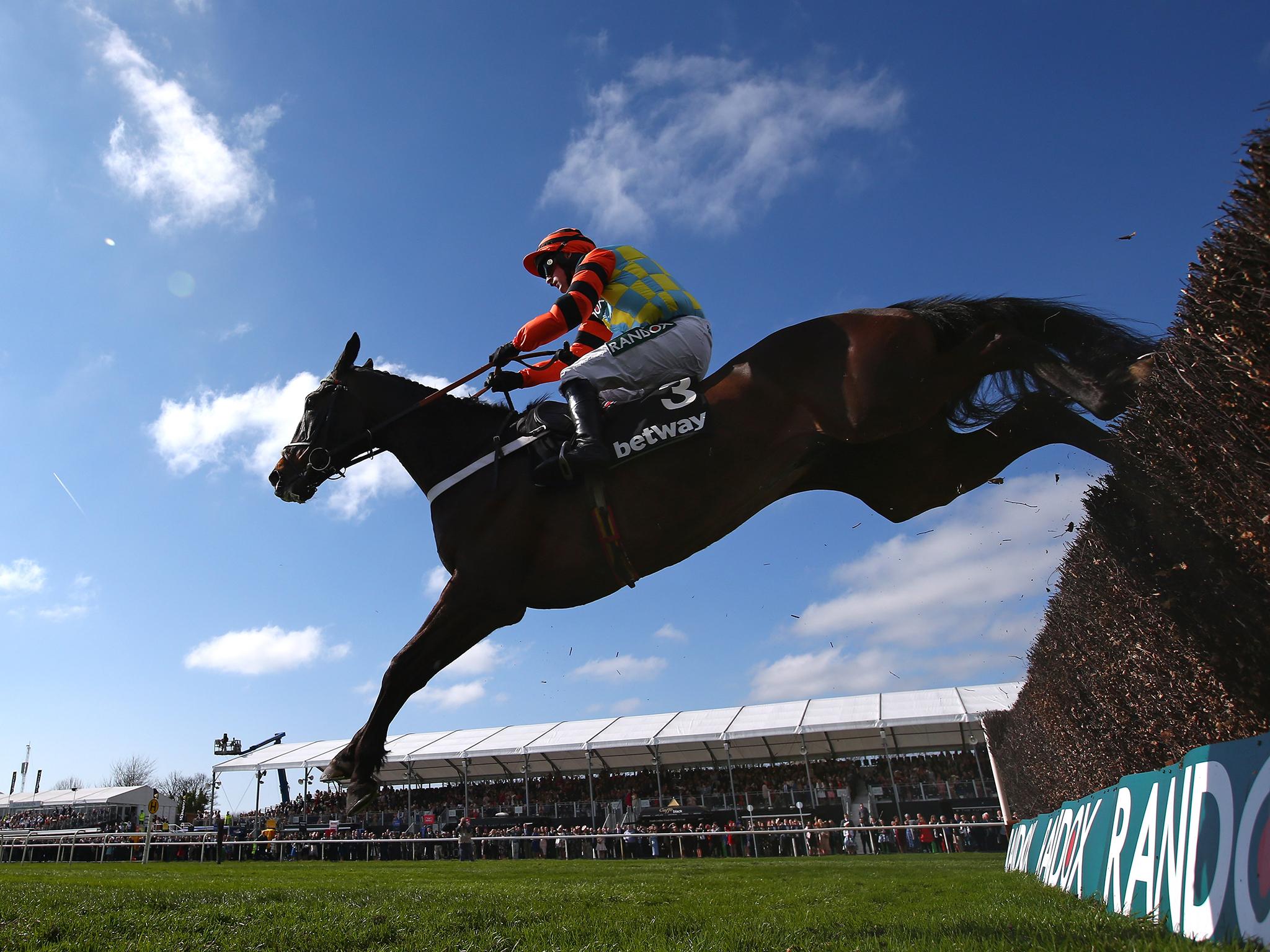 Might Bite finished second in the Cheltenham Gold Cup