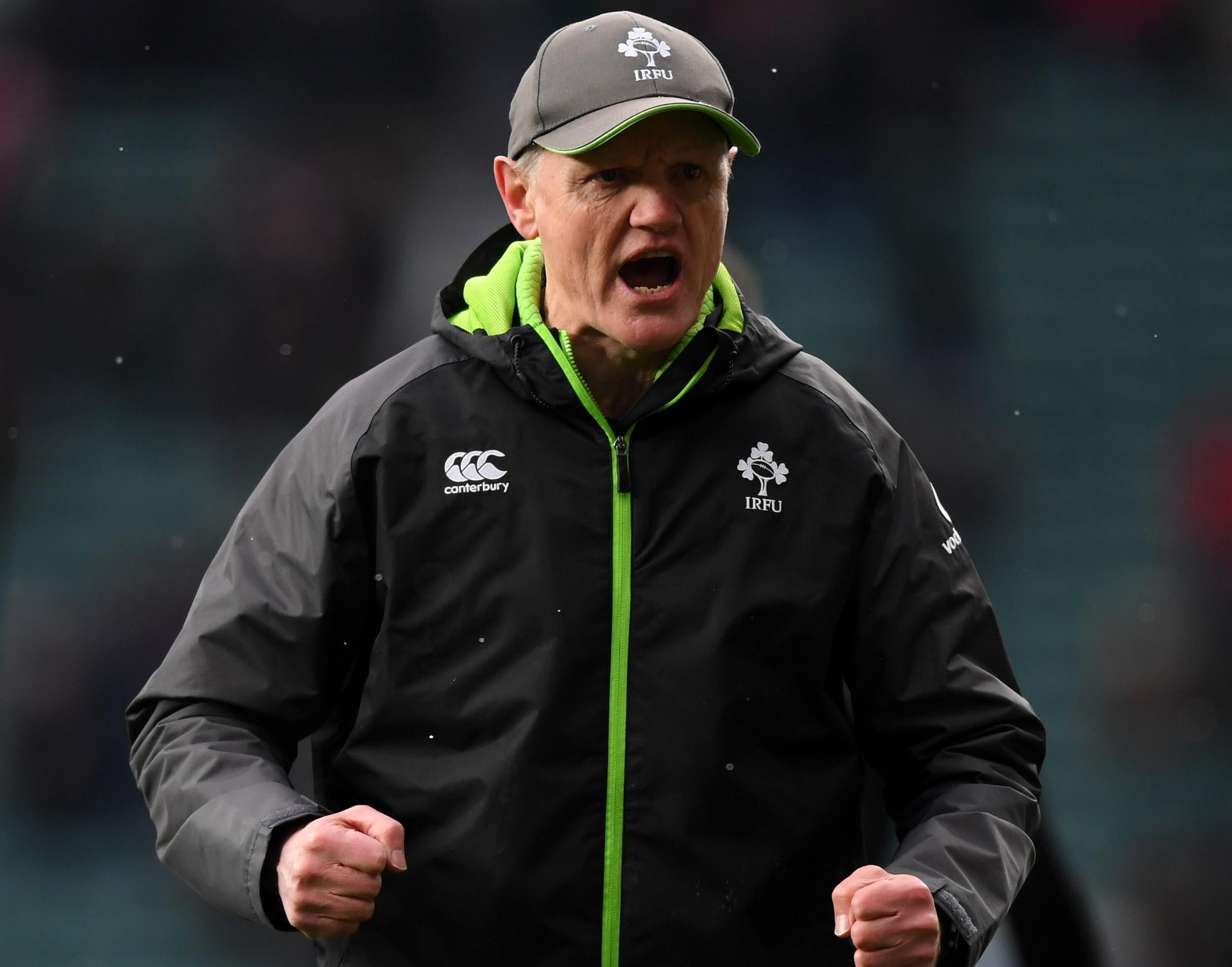 Joe Schmidt guided Ireland to a first Grand Slam title since 2009