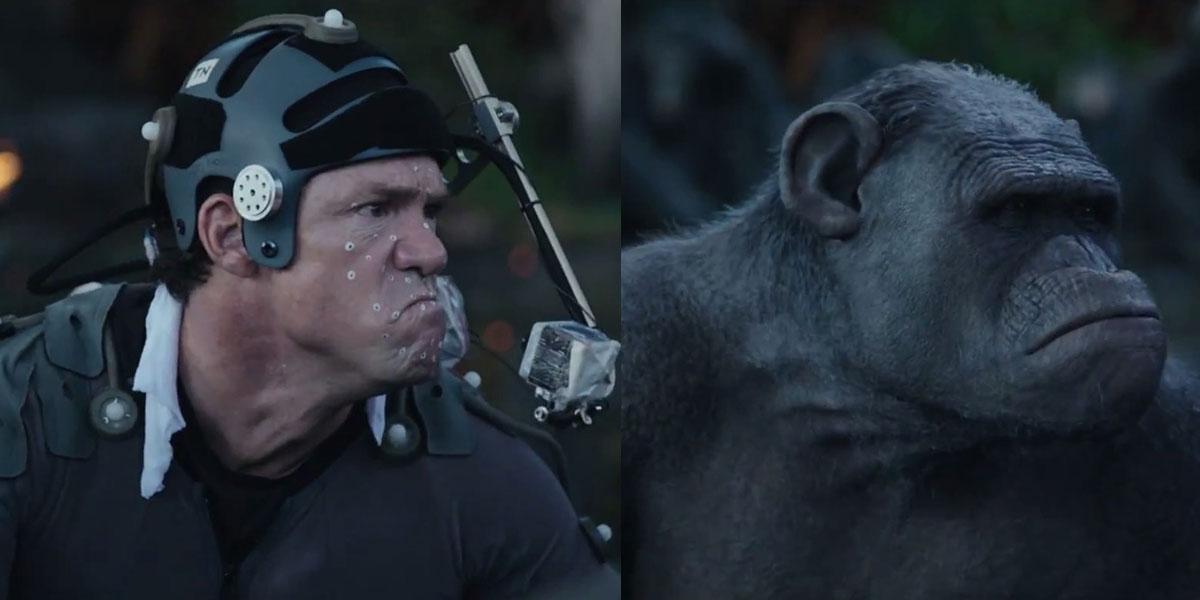 &#13;
Notary working on ‘Planet of the Apes’ (ZSC)&#13;