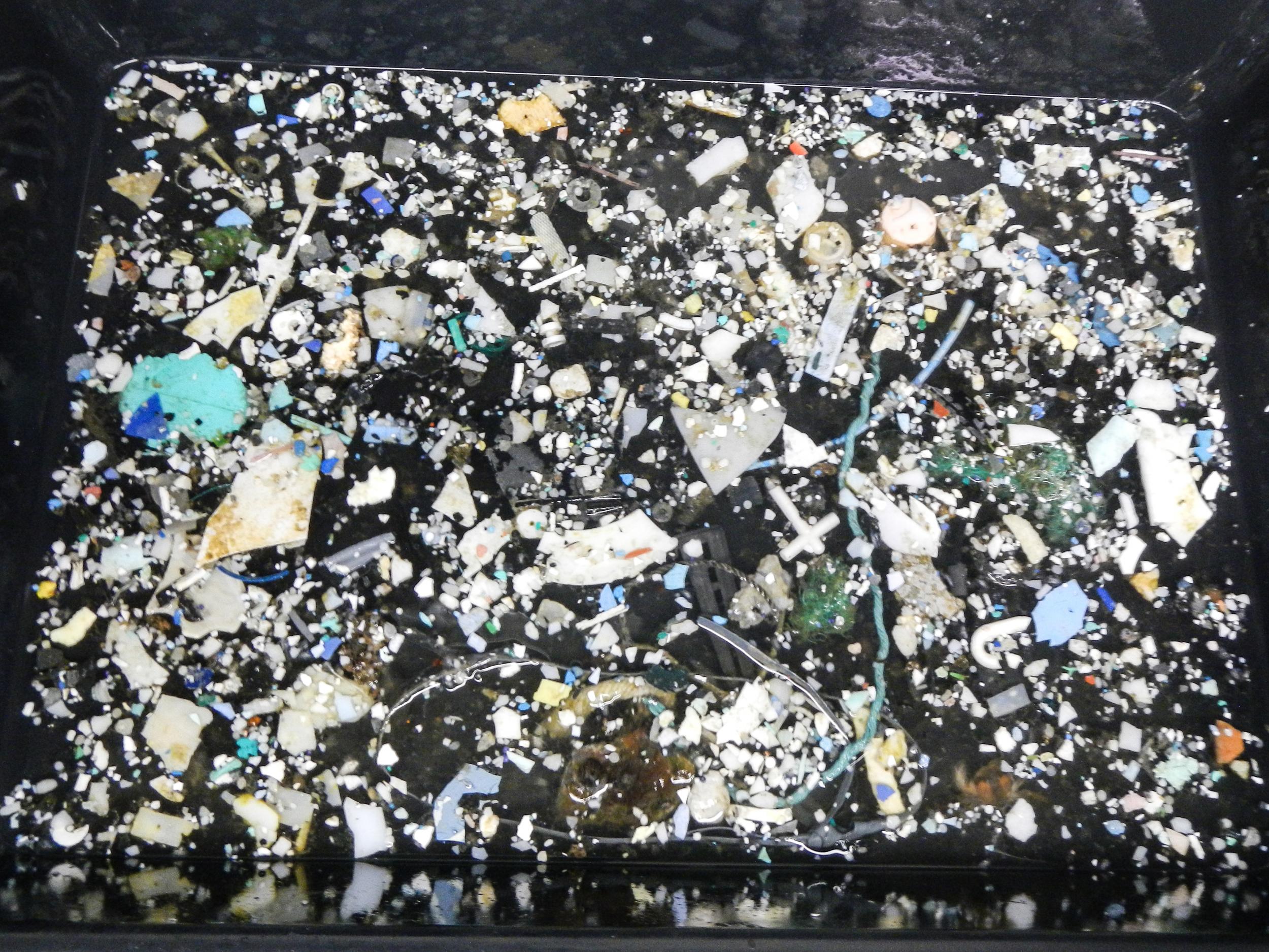 In total, the researchers concluded that there are nearly 1.8 trillion plastic particles of all sizes in the Great Pacific garbage patch