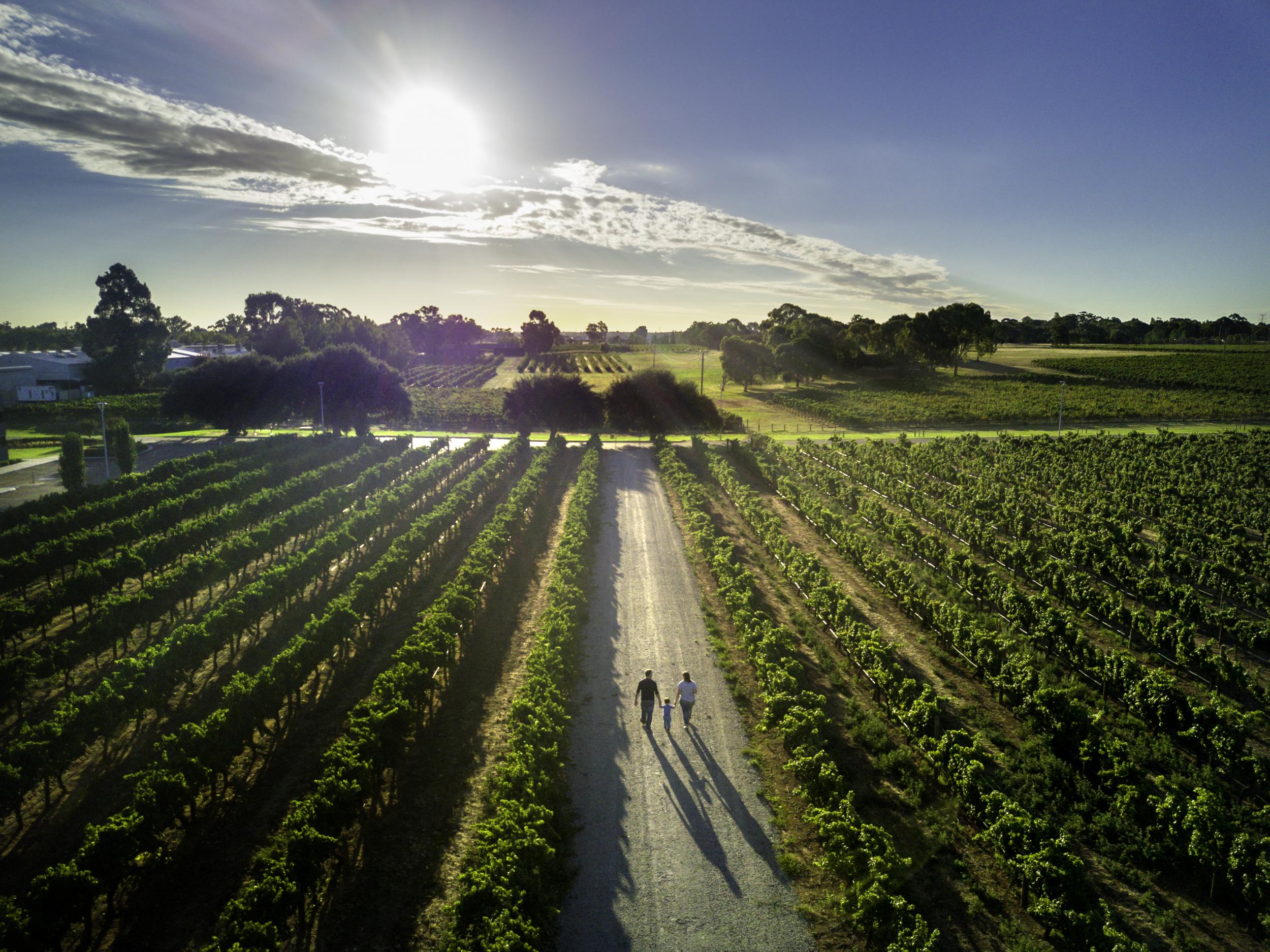 Eat, drink and be merry in the Swan Valley