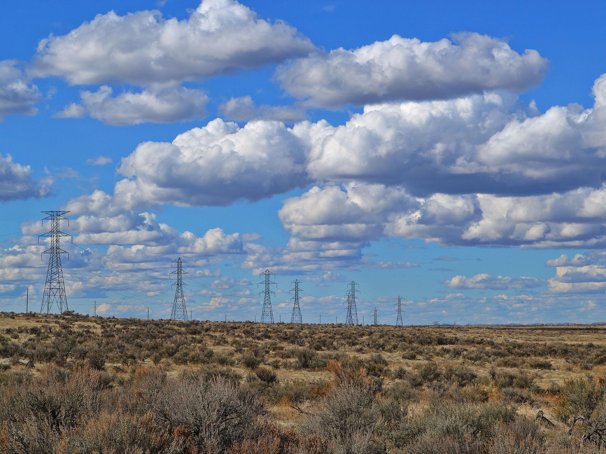 &#13;
These ‘fair weather’ clouds look like cotton wool (Pexels)&#13;