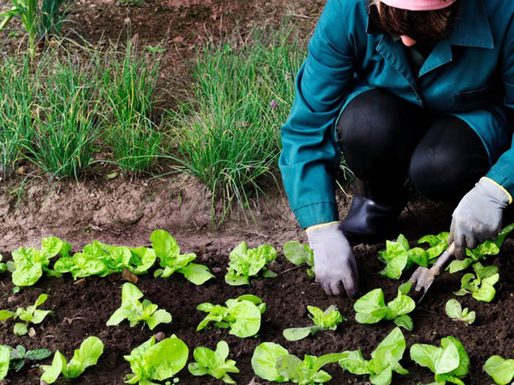 We must move away from monoculture farming and build strong ecosystems with lots of biodiversity