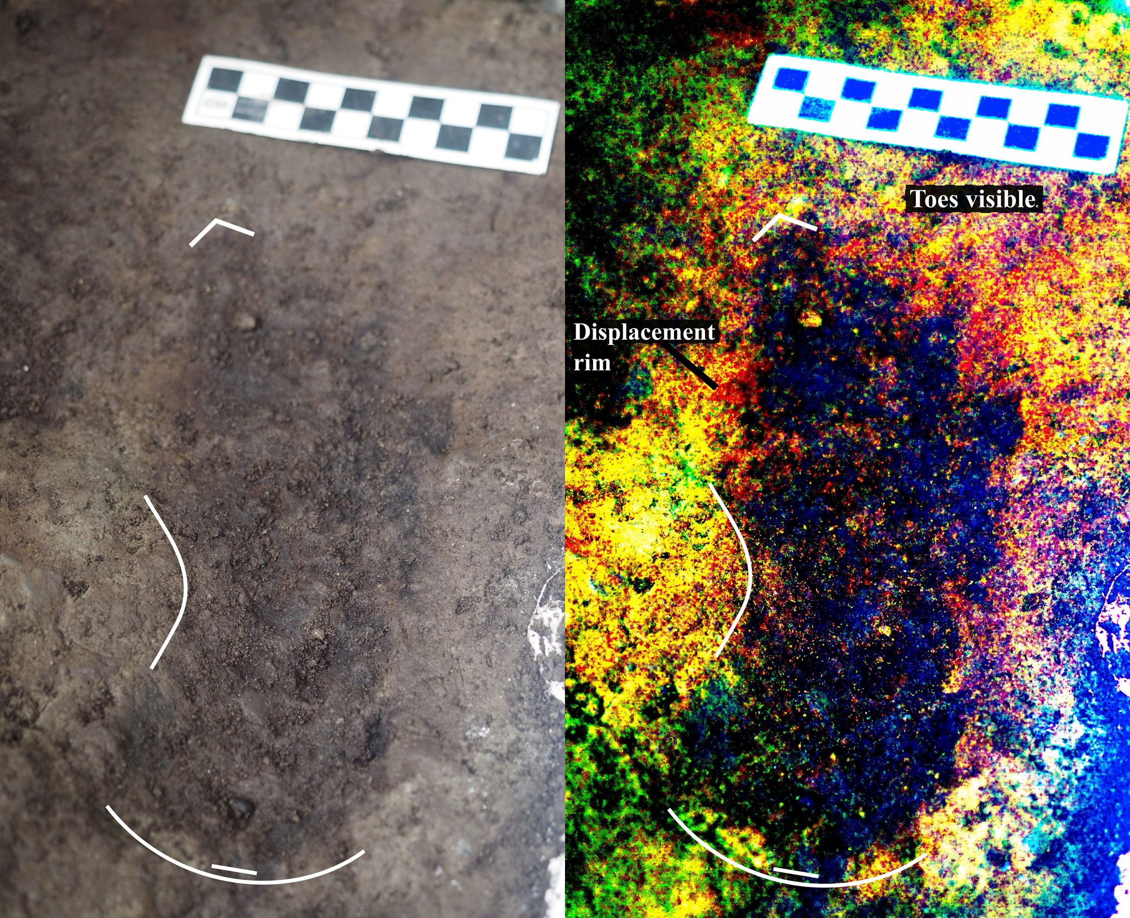 Photograph of a footprint beside a digitally-enhanced version. The toe impressions and arch indicating it is an impression of a right foot.