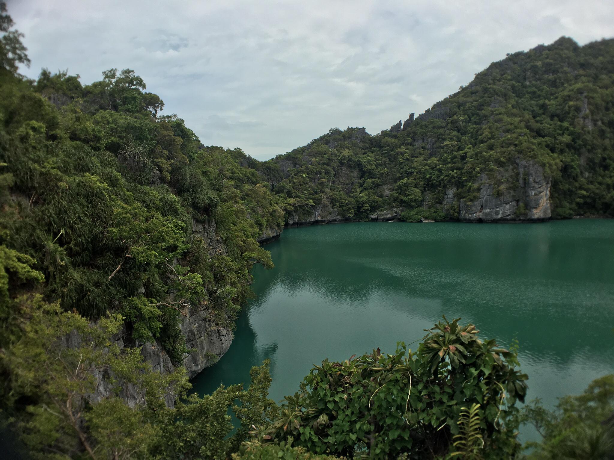 Maya Bay is situated on Phi Phi Leh island in the Andaman Sea