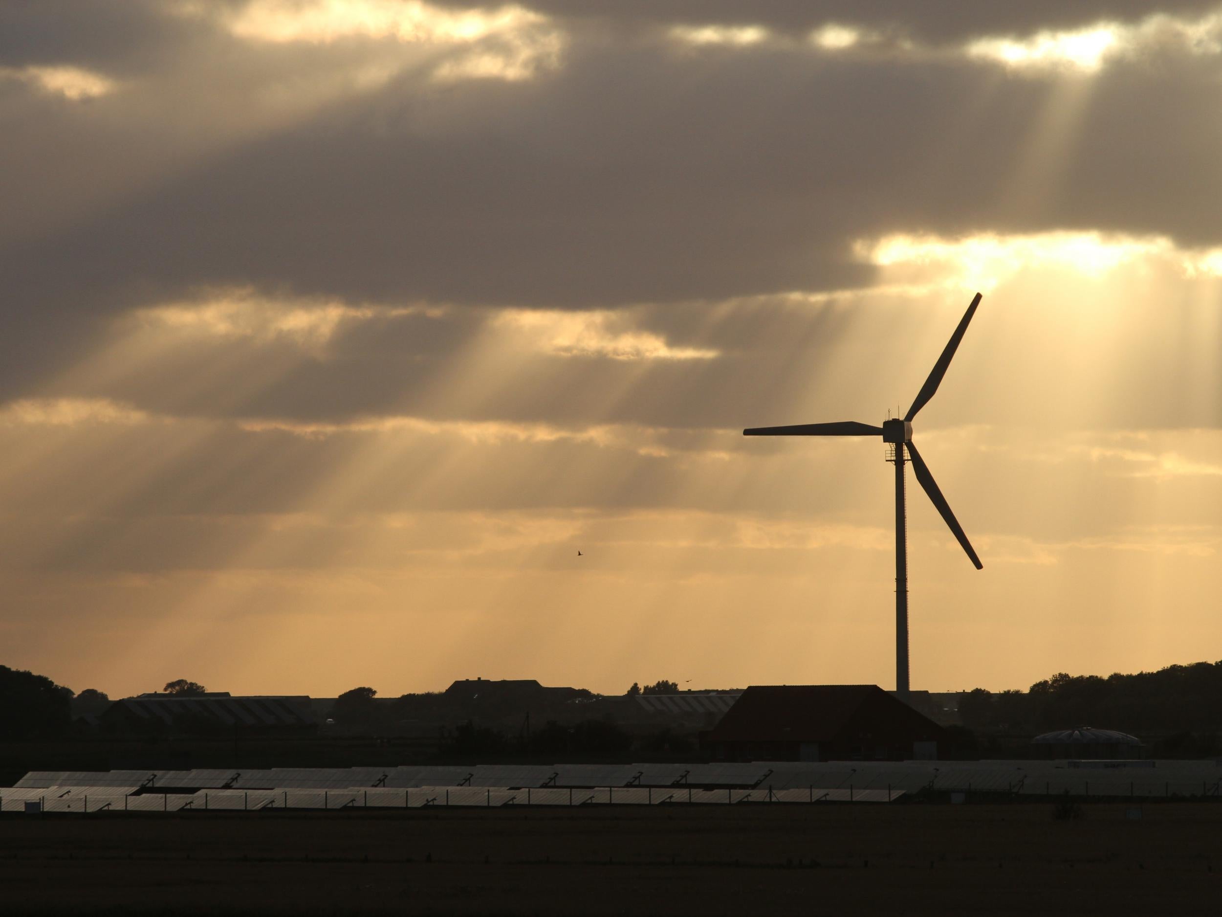 Wind power had a good year, with onshore wind farms now displaying the capacity to outperform fossil fuels