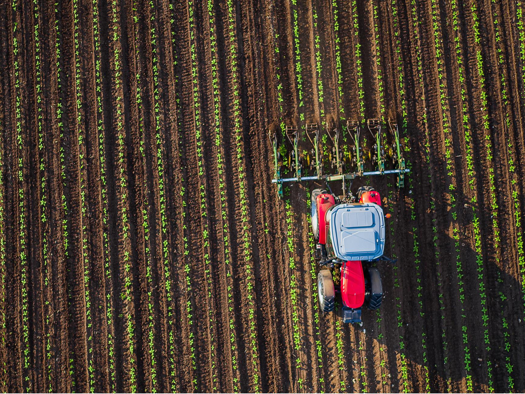 Microplastics are making their way into organics fertilisers that are used in both domestic and agricultural settings