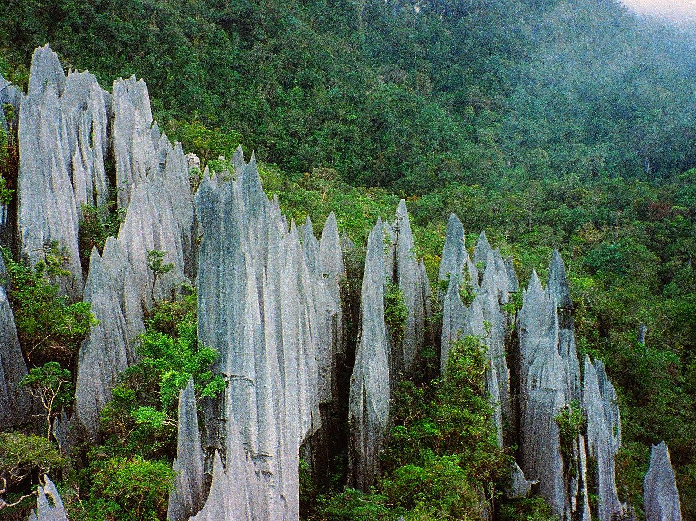 Gunung Mulu in Borneo is an example of an areas where limestone rock weathering would be expected to produce large amounts of nitrogen.