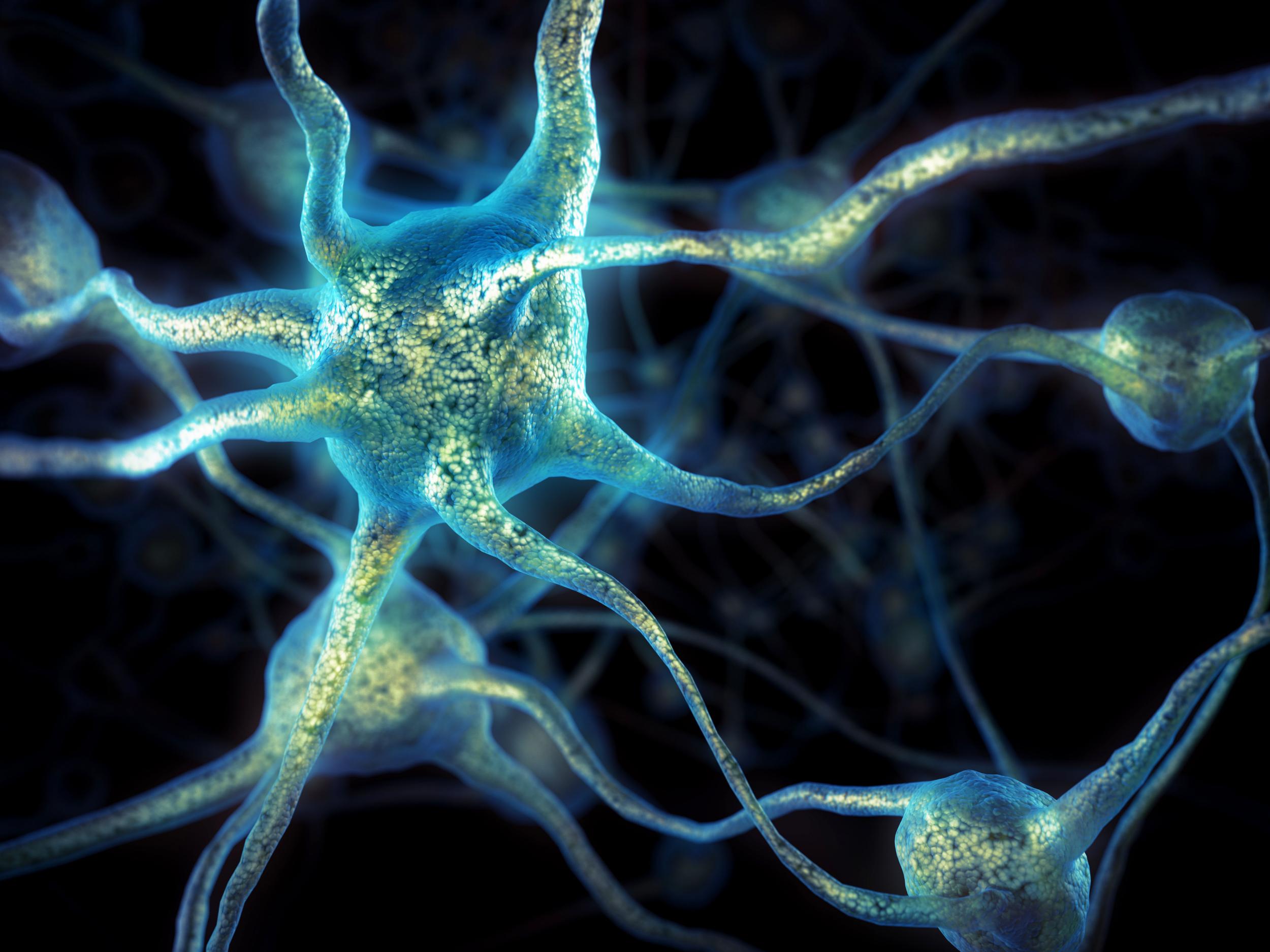 A computer-generated image of brain cells