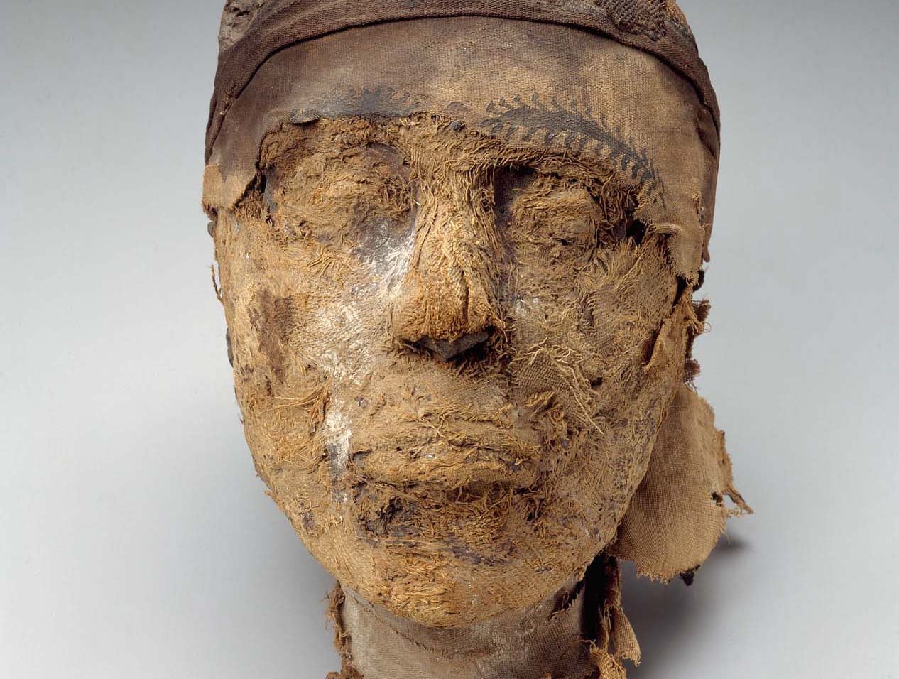 The mummified head of Djehutynakht is all that remains after the body was destroyed by tomb robbers