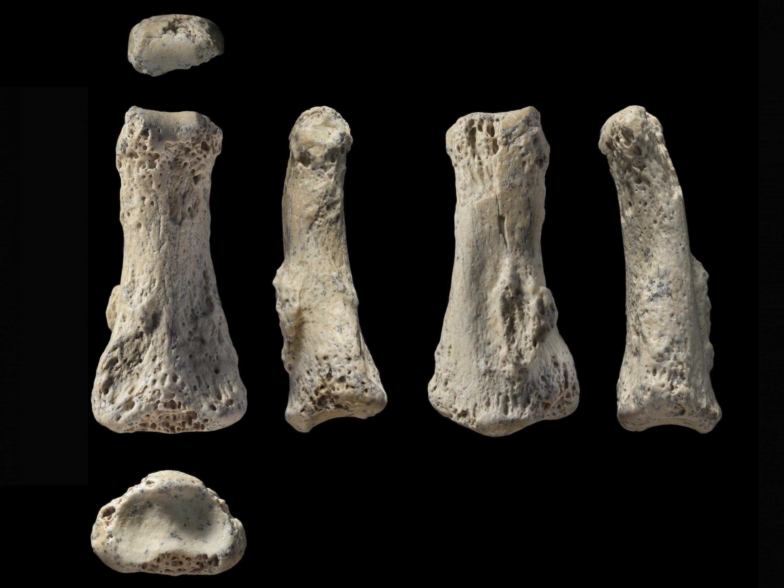 The finger bone is the oldest confirmed Homo sapiens fossil outside of Africa and the Levant