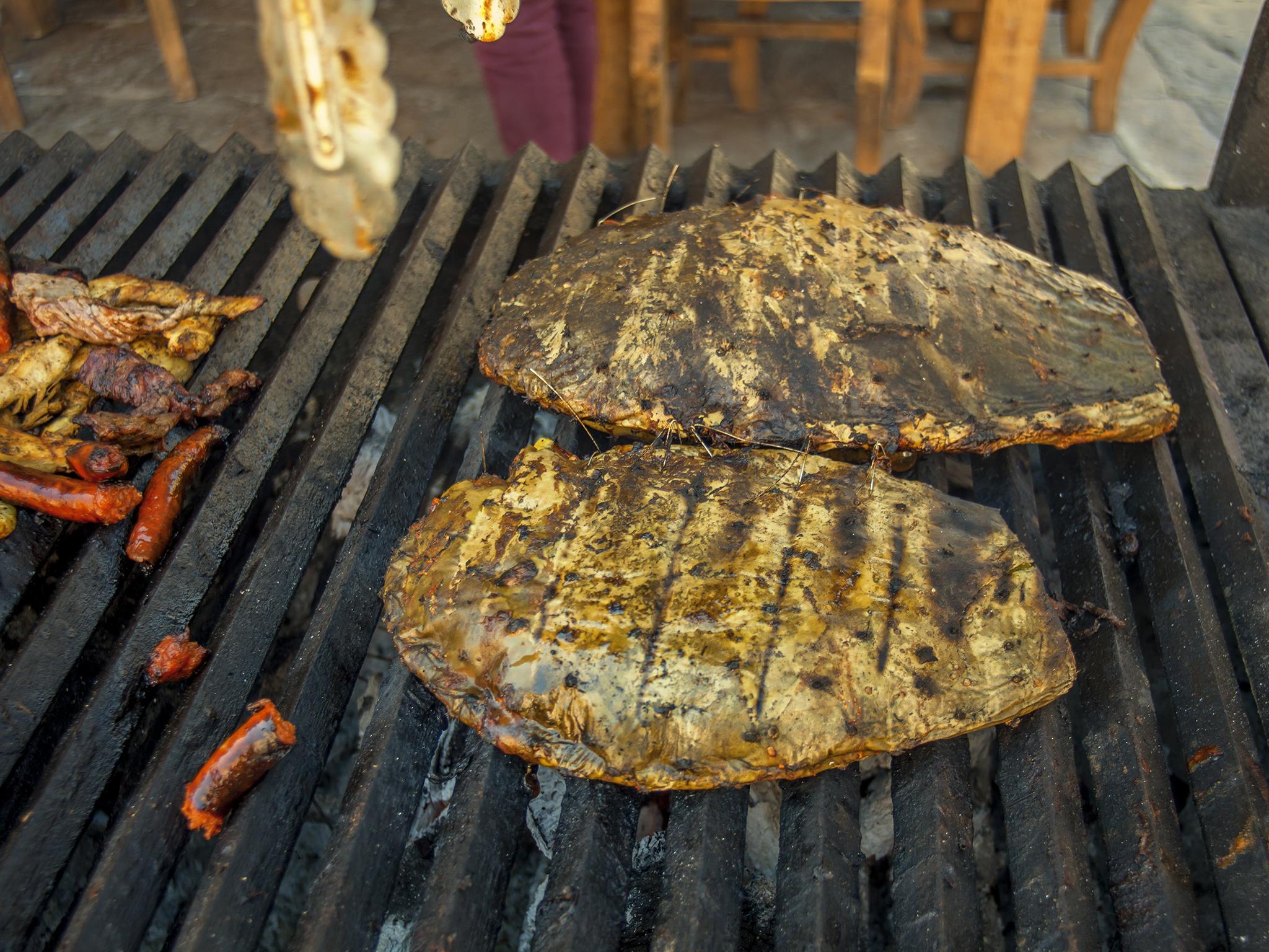 The pads can also be eaten, and are best grilled or barbecued... just make sure to remove the spines