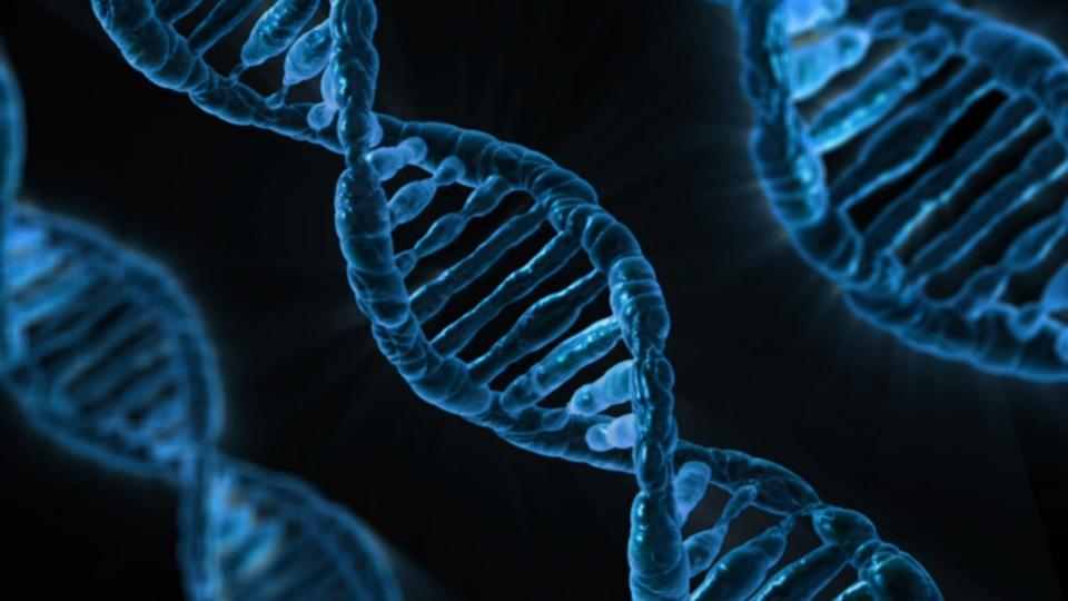 Deoxyribonucleic acid: a cliché that is dying out, thank goodness