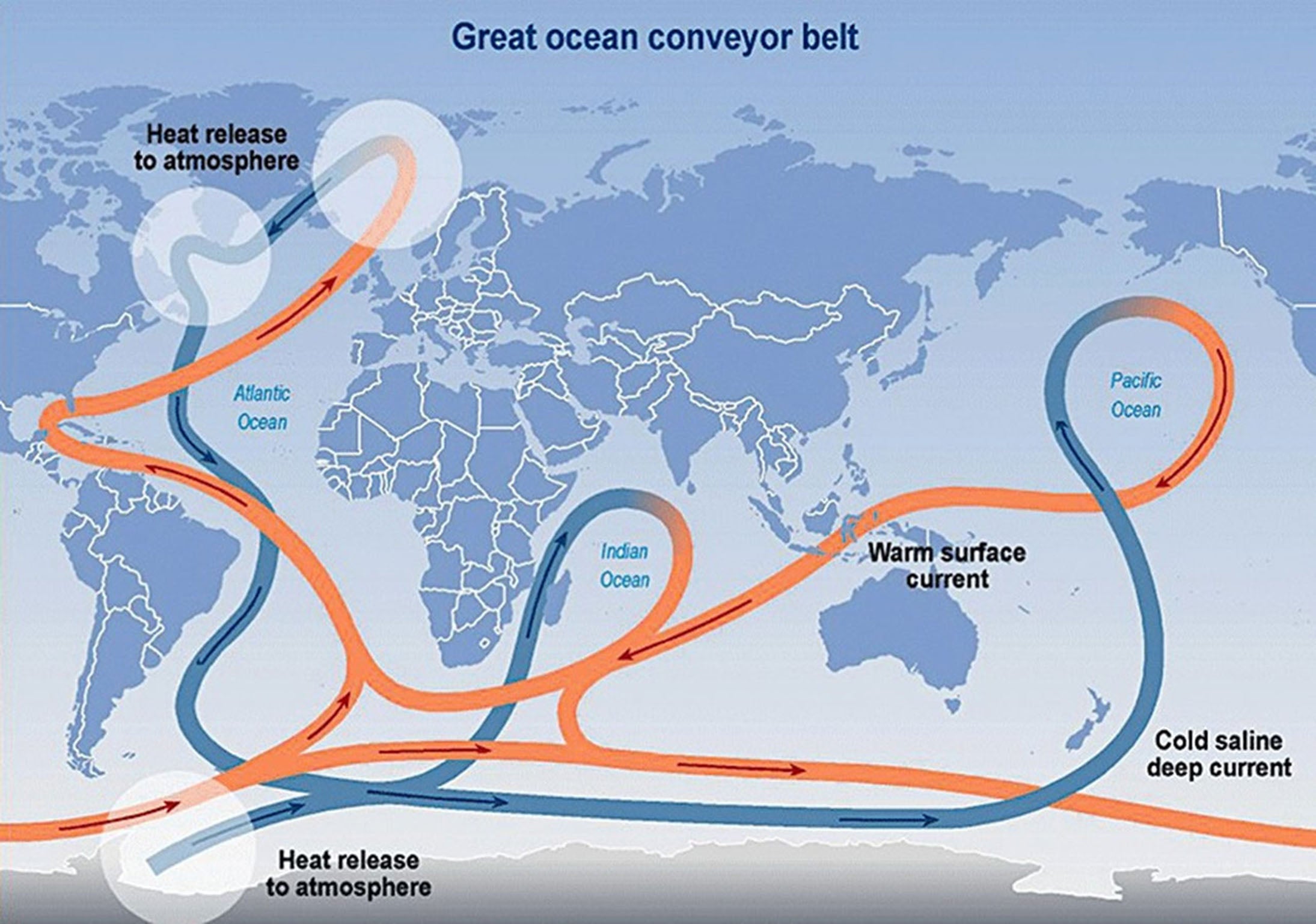 The circulation of the Atlantic Ocean plays a key role in regulating global climate. The constantly moving system of deep-water circulation, sometimes referred to as the Global Ocean Conveyor Belt, sends warm, salty Gulf Stream water to the North Atlantic where it releases heat to the atmosphere and warms Western Europe. The cooler water then sinks to great depths and travels all the way to Antarctica and eventually circulates back up to the Gulf Stream