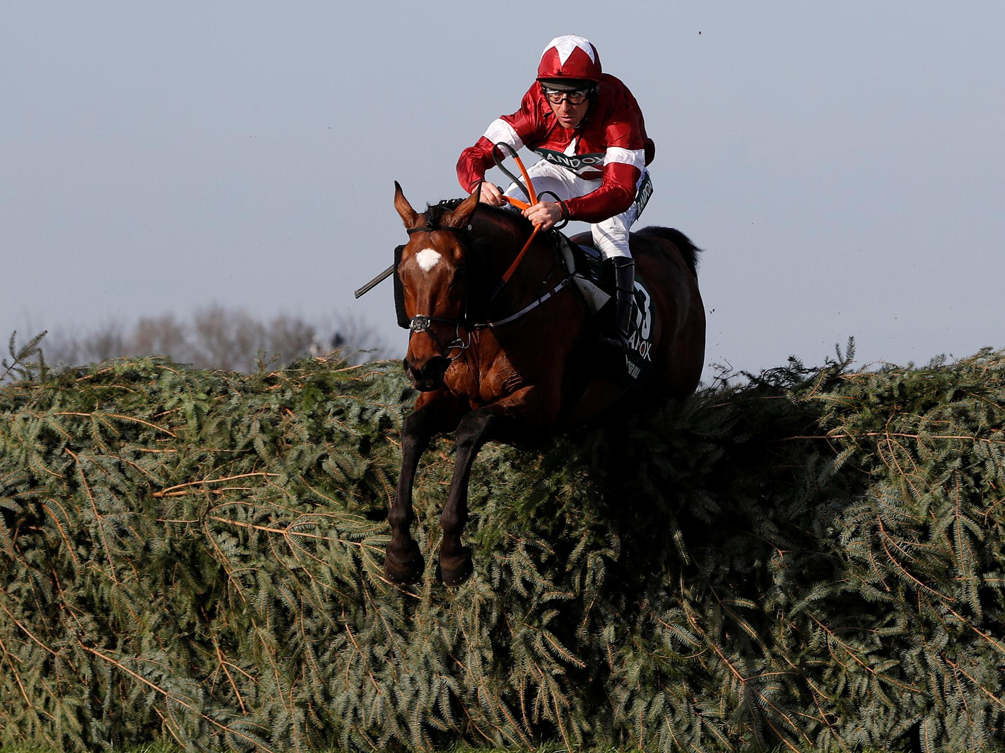 Tiger Roll 2018 Grand National after Cheltenham success