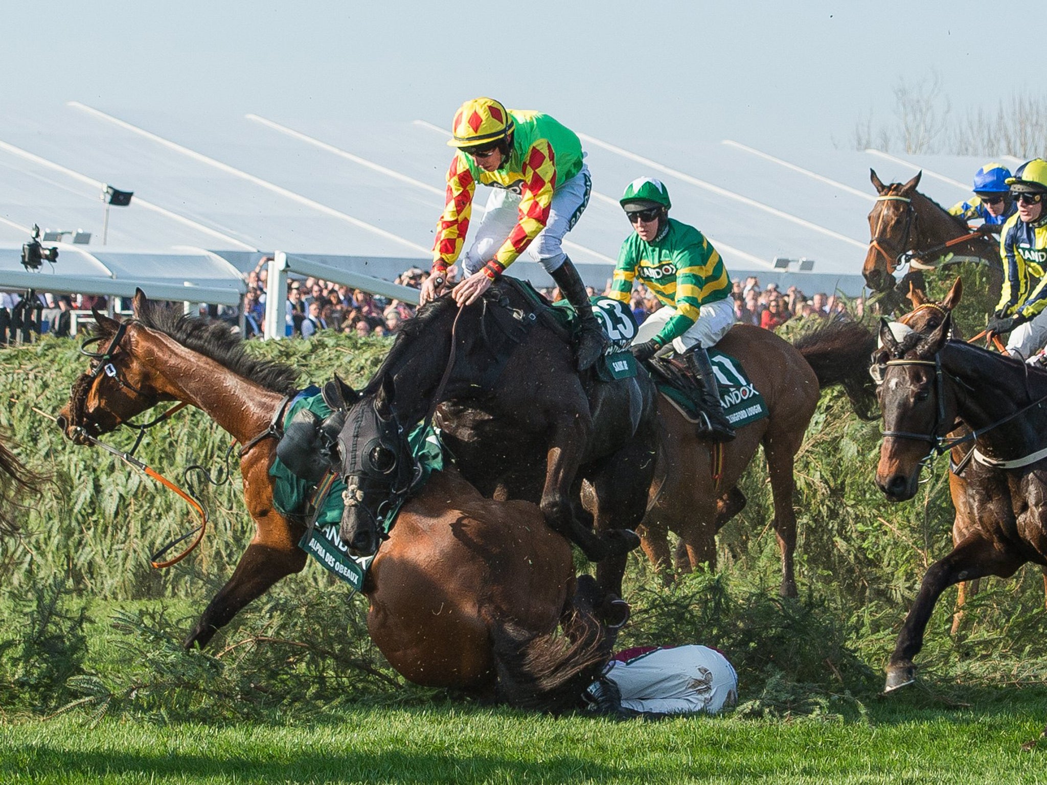 Saint Are suffered a nasty fall during the Grand National and needed treatment afterwards