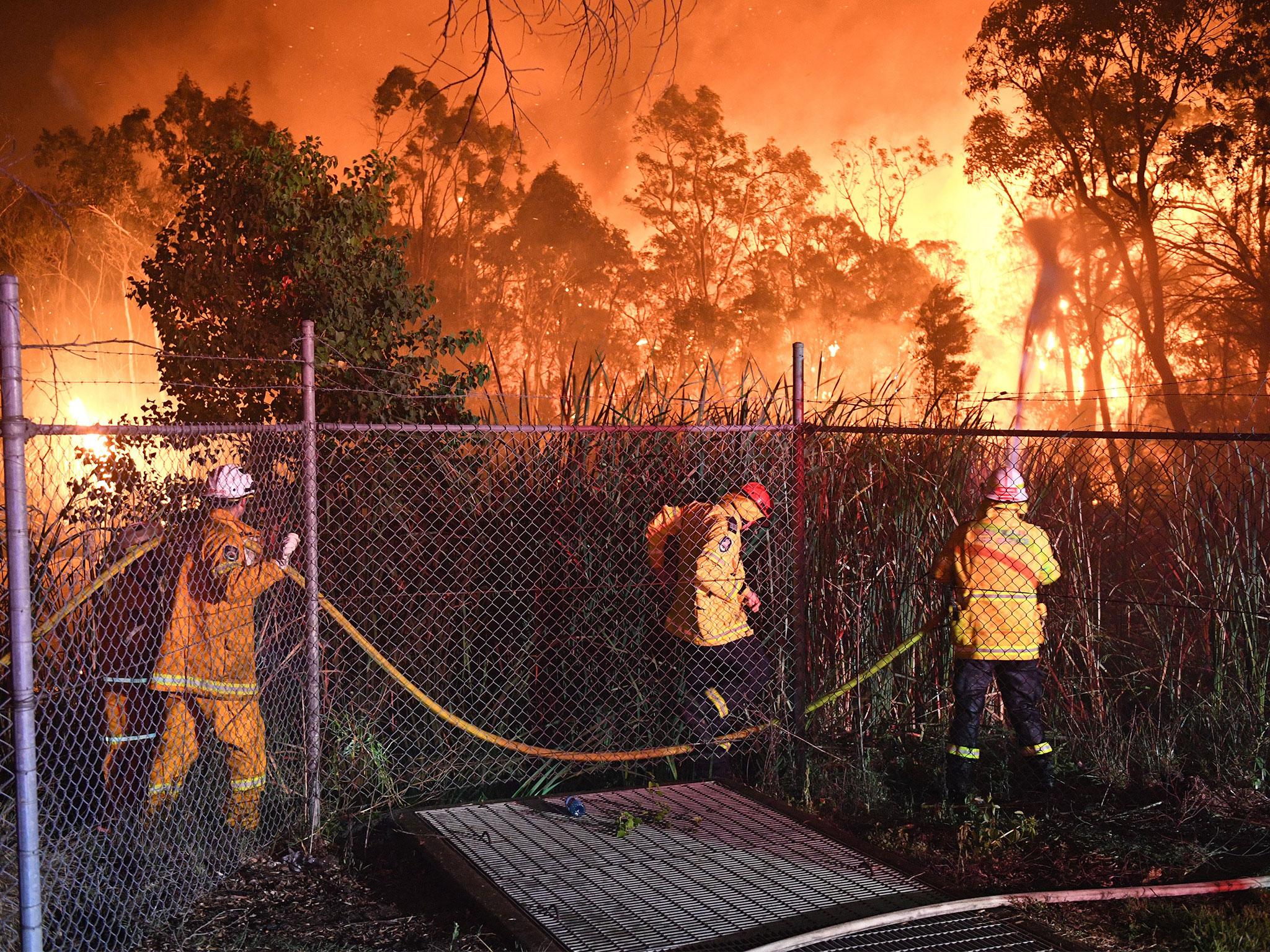 Firefighters are trying to bring a bushfire under control in southwest Sydney