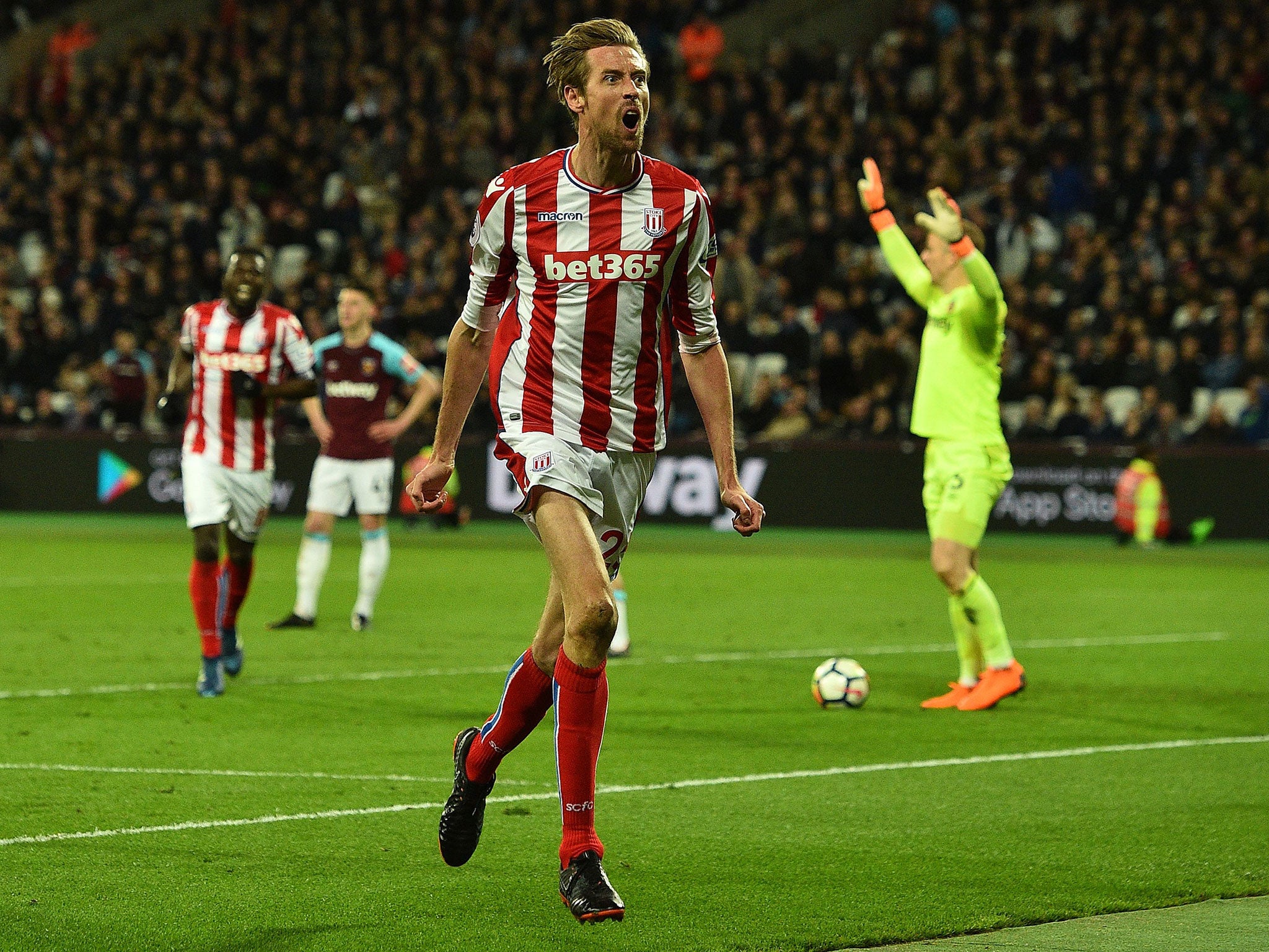 Peter Crouch celebrates what looked to be the winning goal