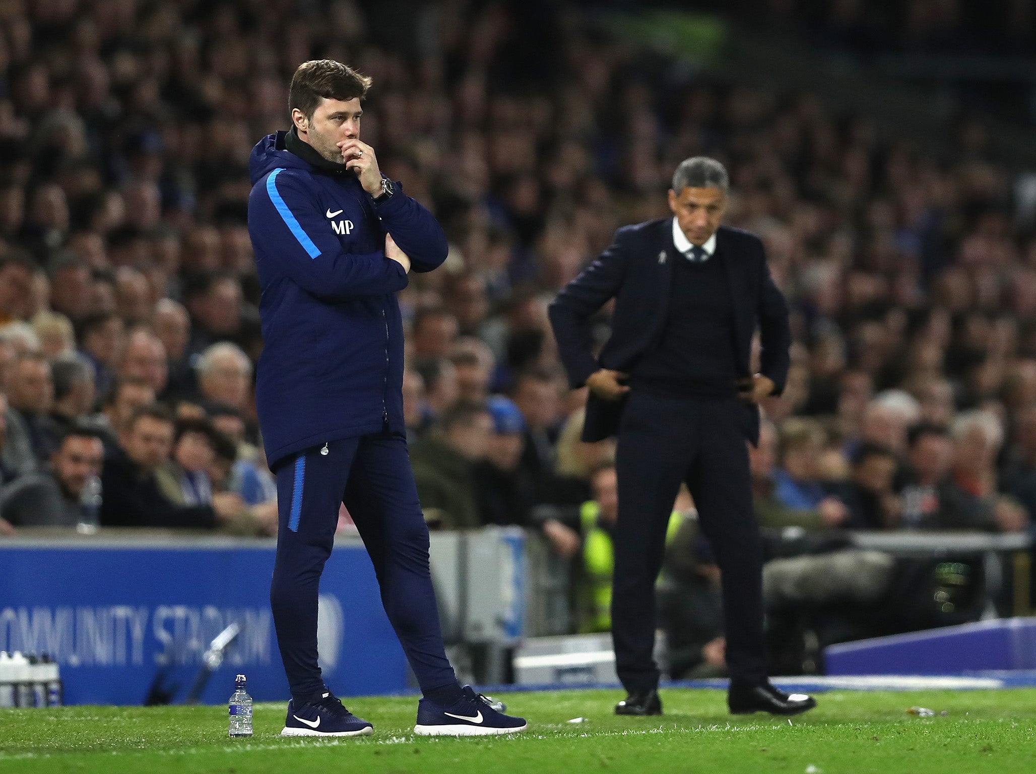 Mauricio Pochettino and Chris Hughton on the touchline