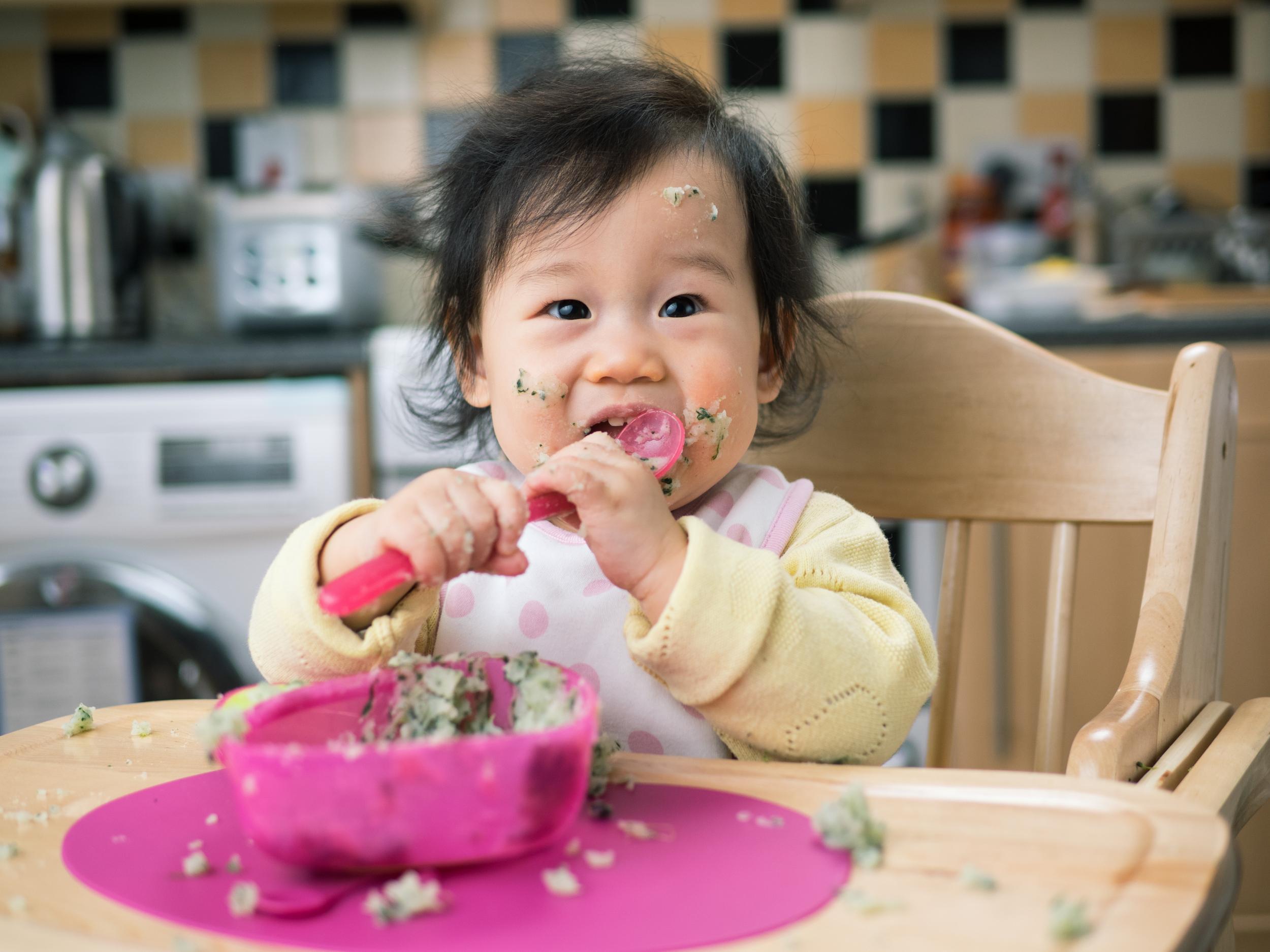 Babies can eat any food as long as it is pureed (stock)