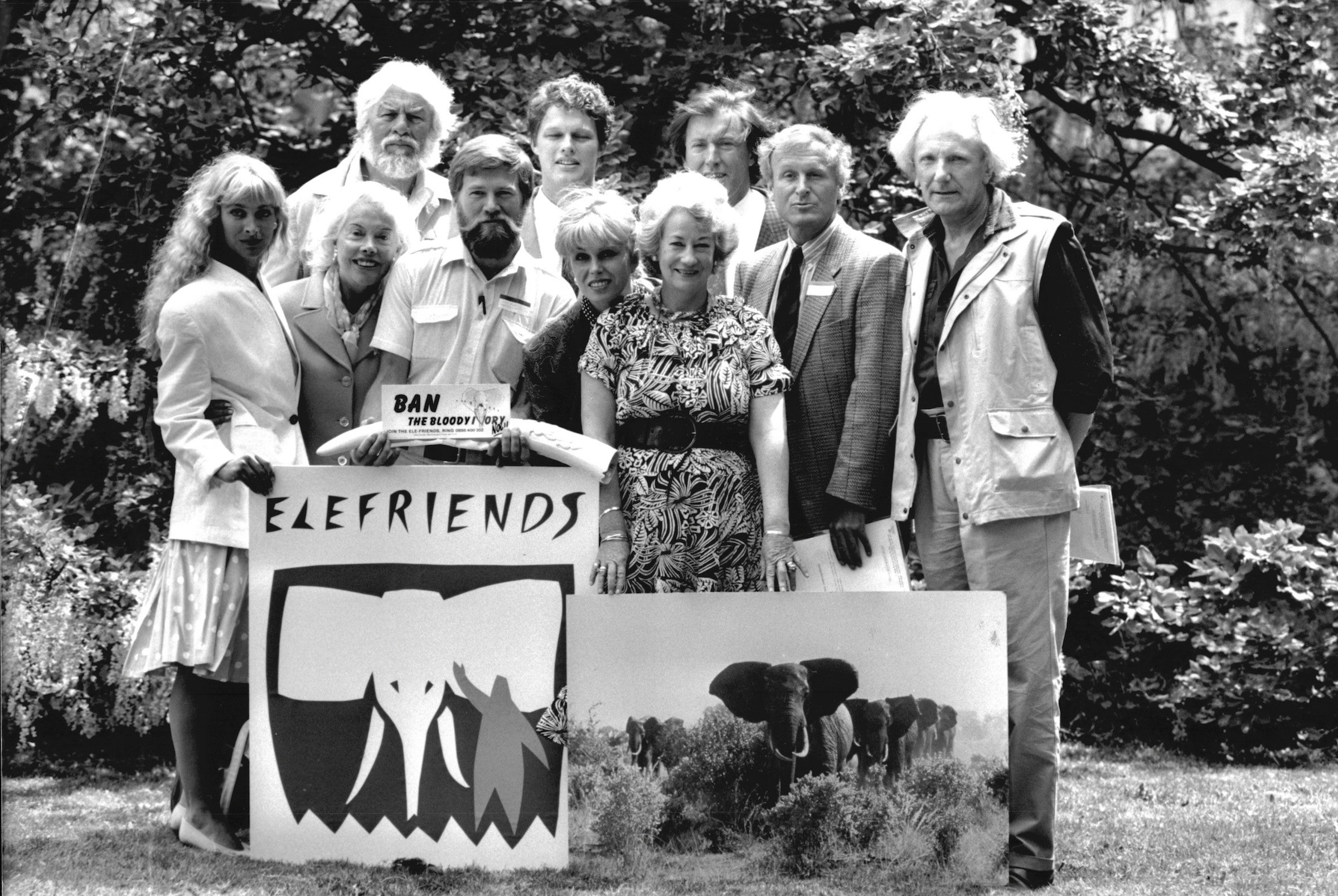 The author’s work on the Ban the Bloody Ivory campaign drew in stars including Joanna Lumley (front, centre)