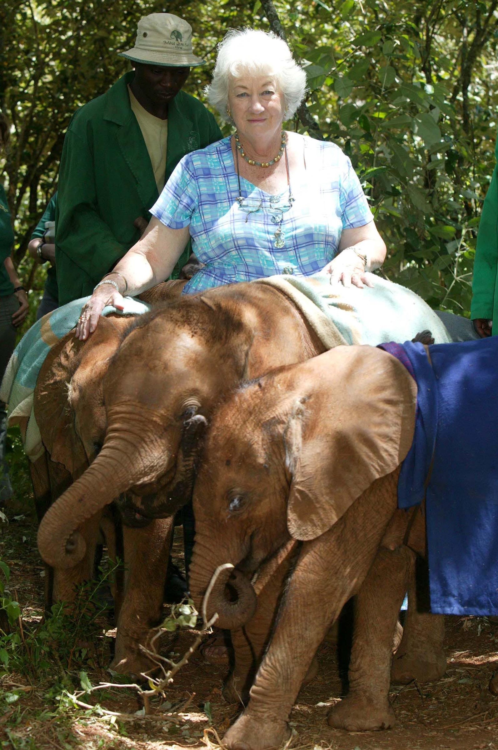 Sheldrick continued working into later life